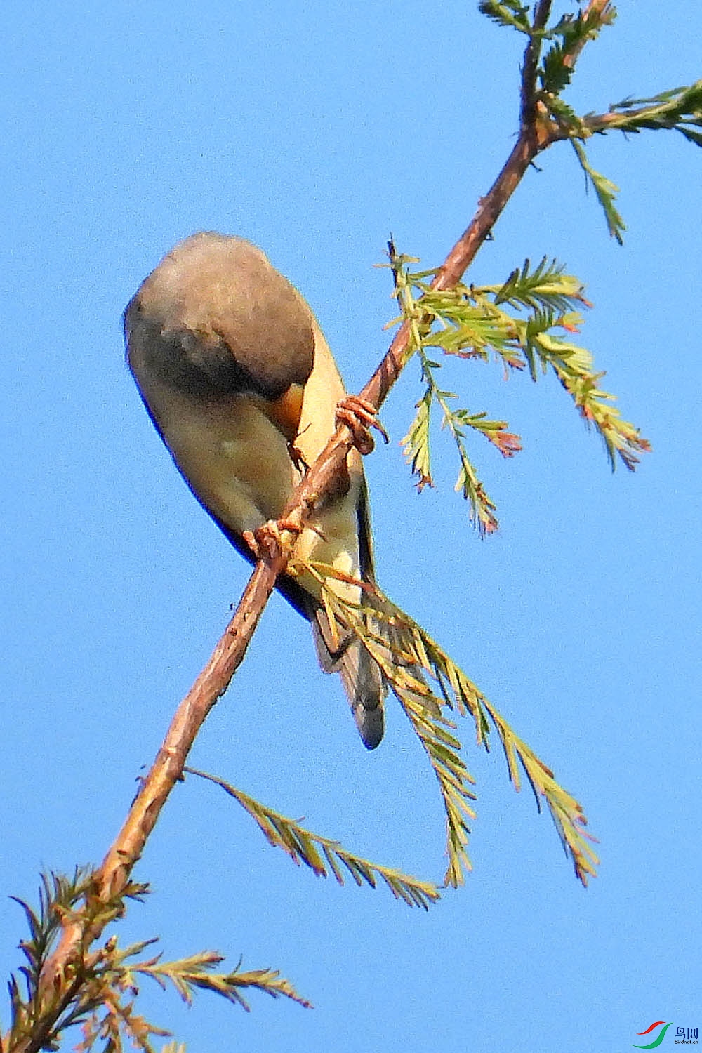 DSCN7002.jpg