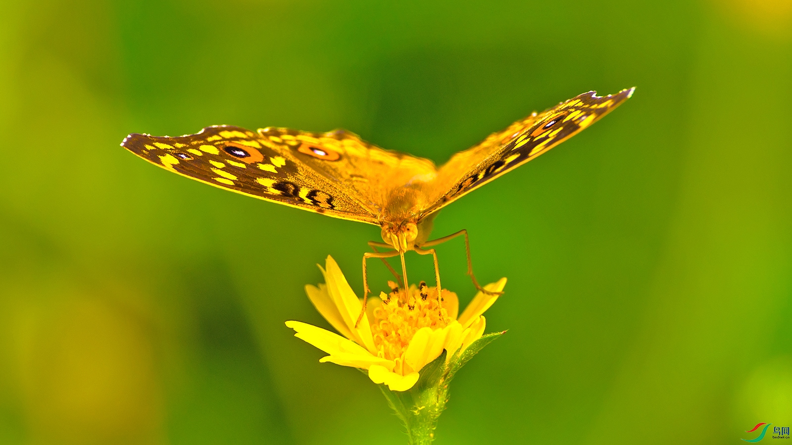 9��LPY_8777.jpg