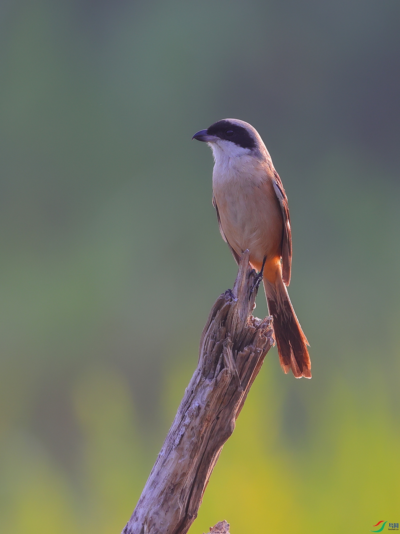 HCP_9041.jpg