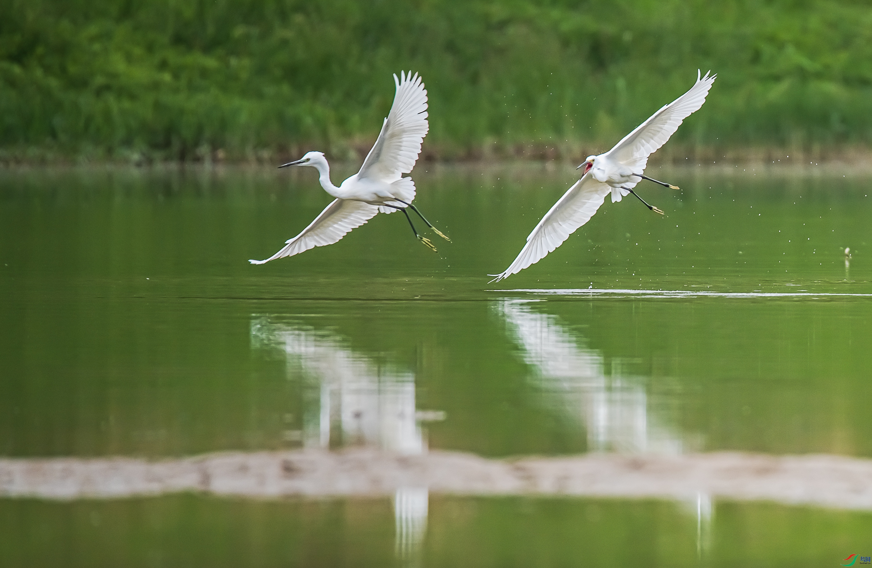 DSC_1556.jpg
