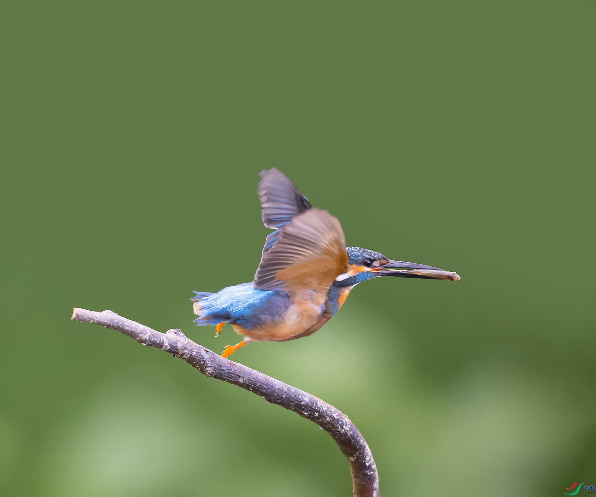 019A0191 ����.jpg