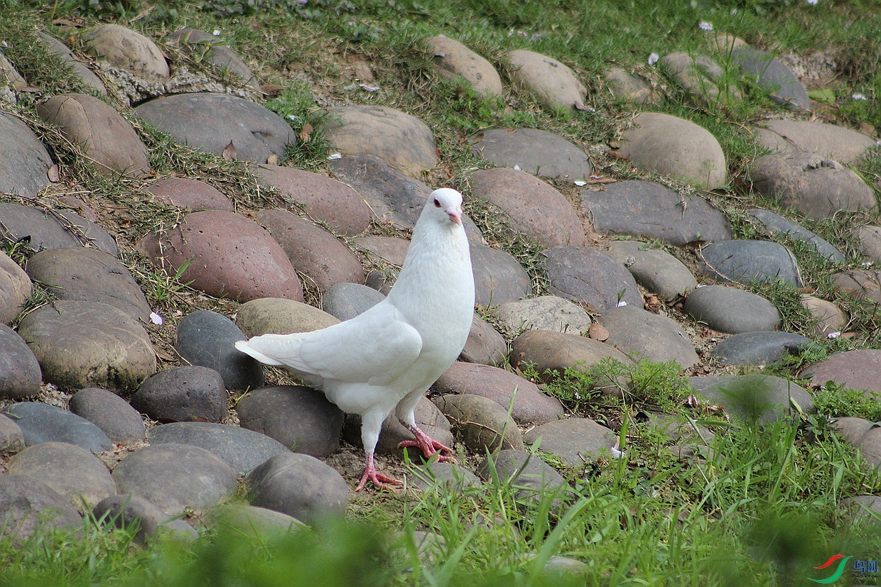 IMG_0099.jpg
