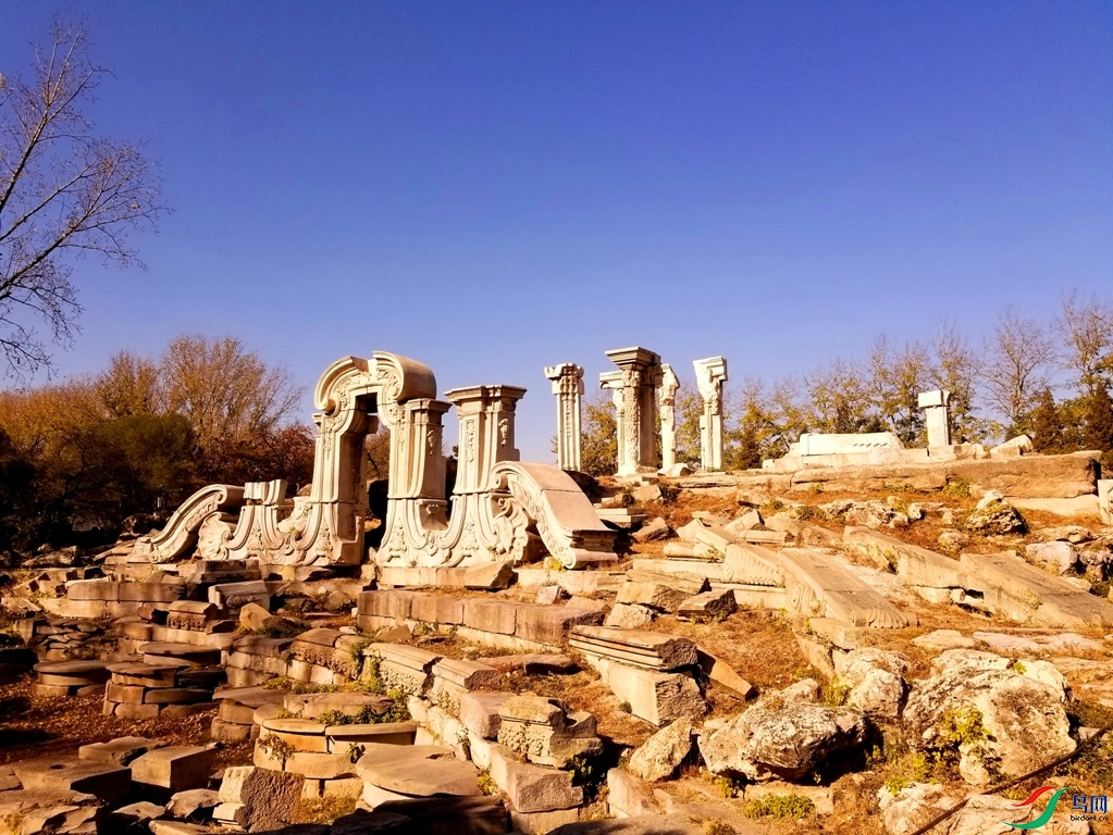 �ֻ���Ƭ 2873.jpg