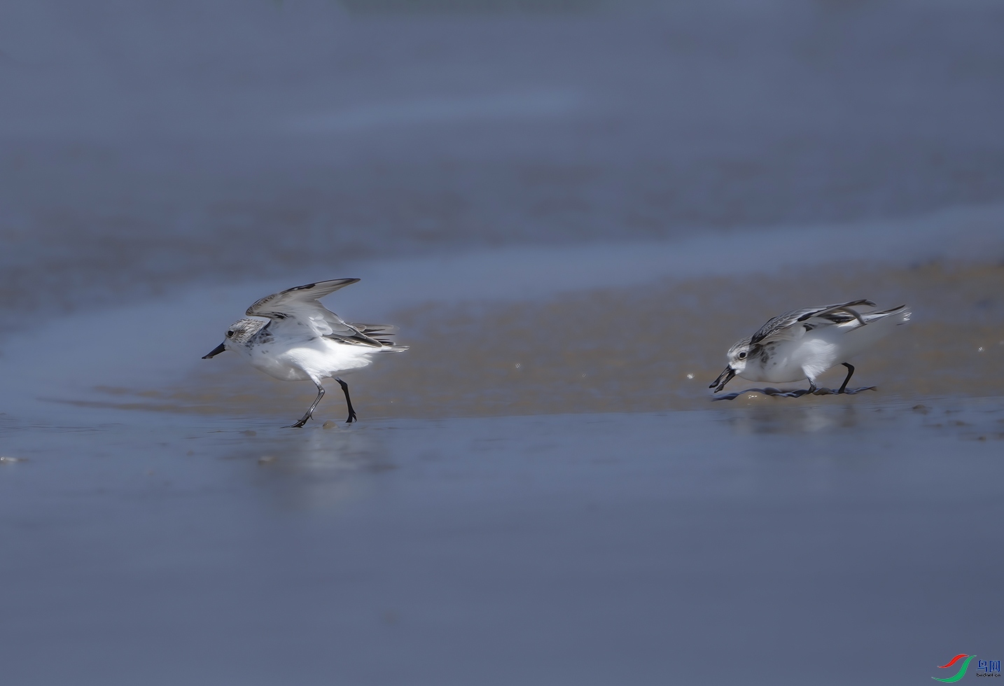 DSC02177 ���� 2.jpg