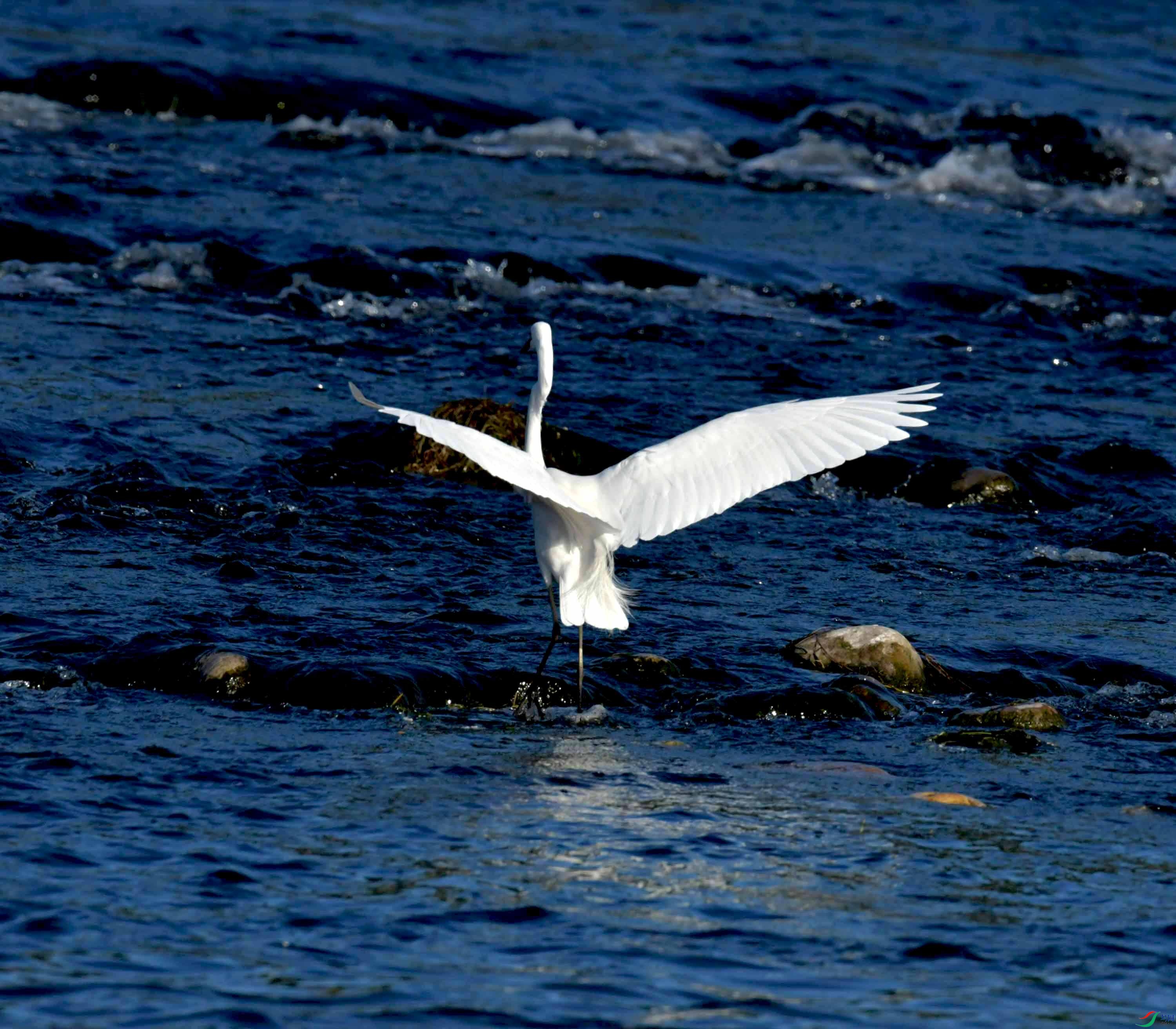 DSC_9707.JPG