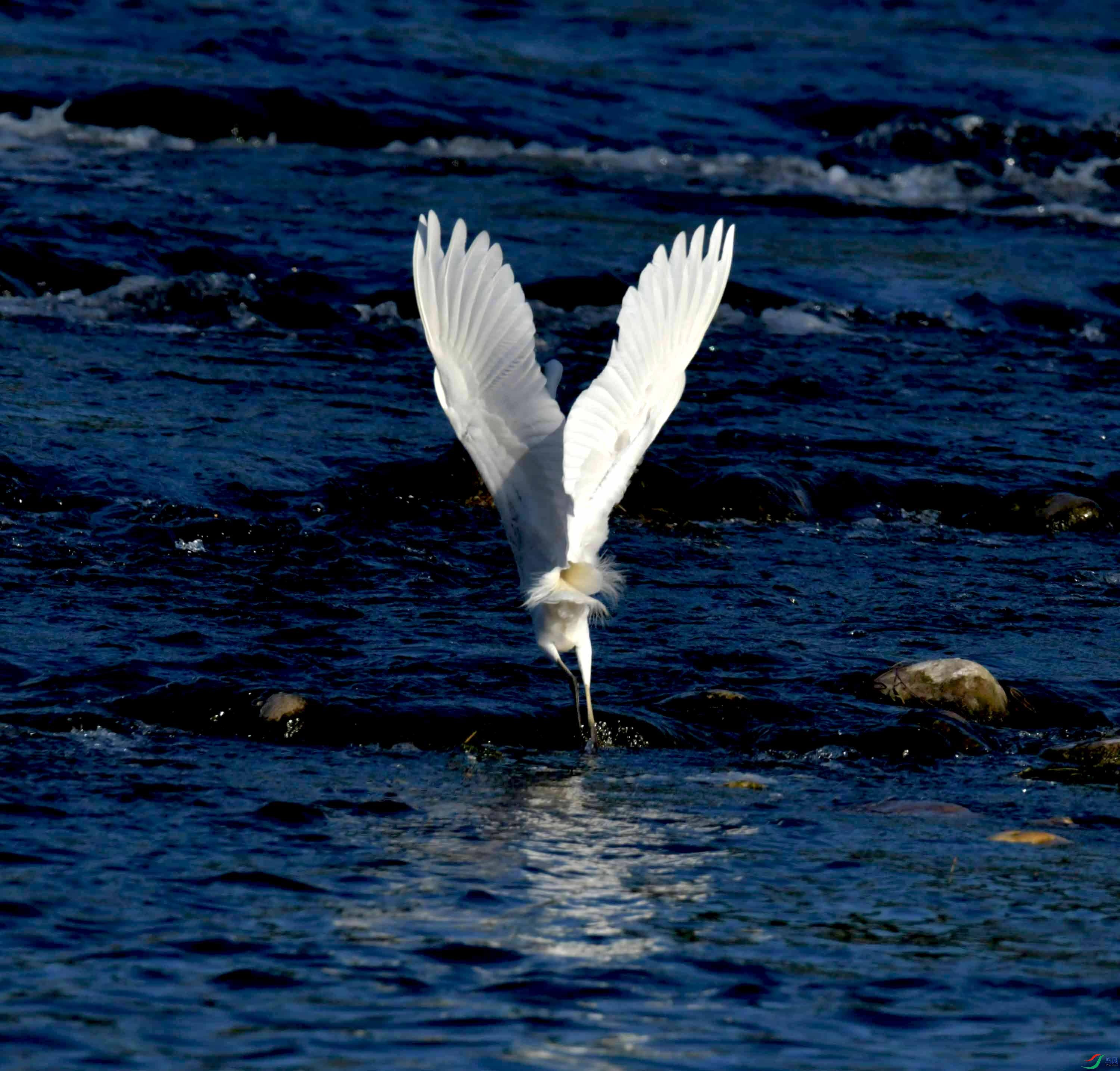 DSC_9708.JPG