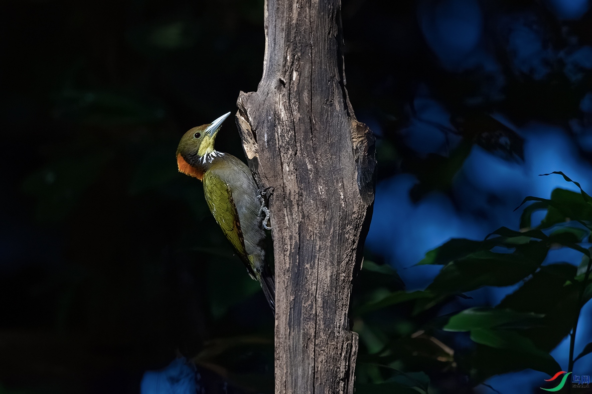 DSC_5088_DxOa.jpg