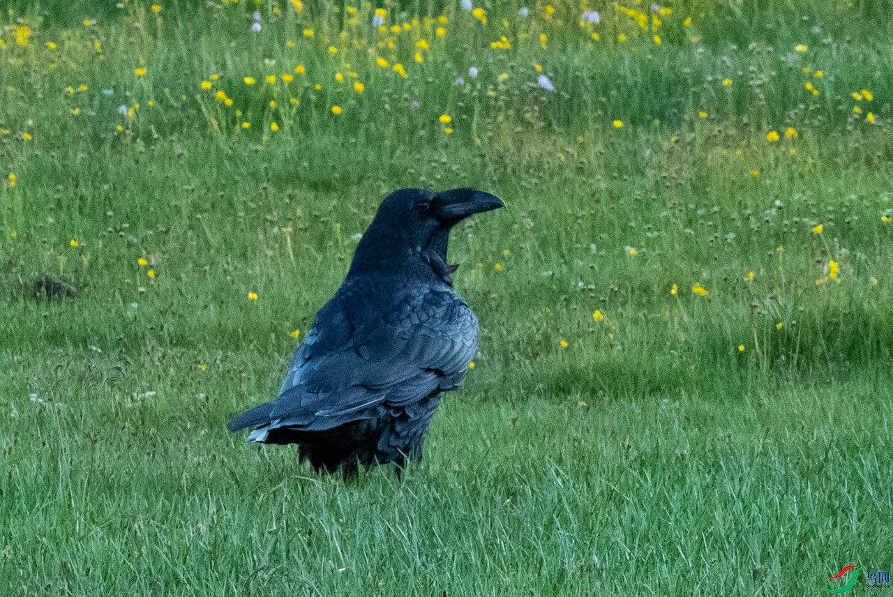 DSC_6818.jpg
