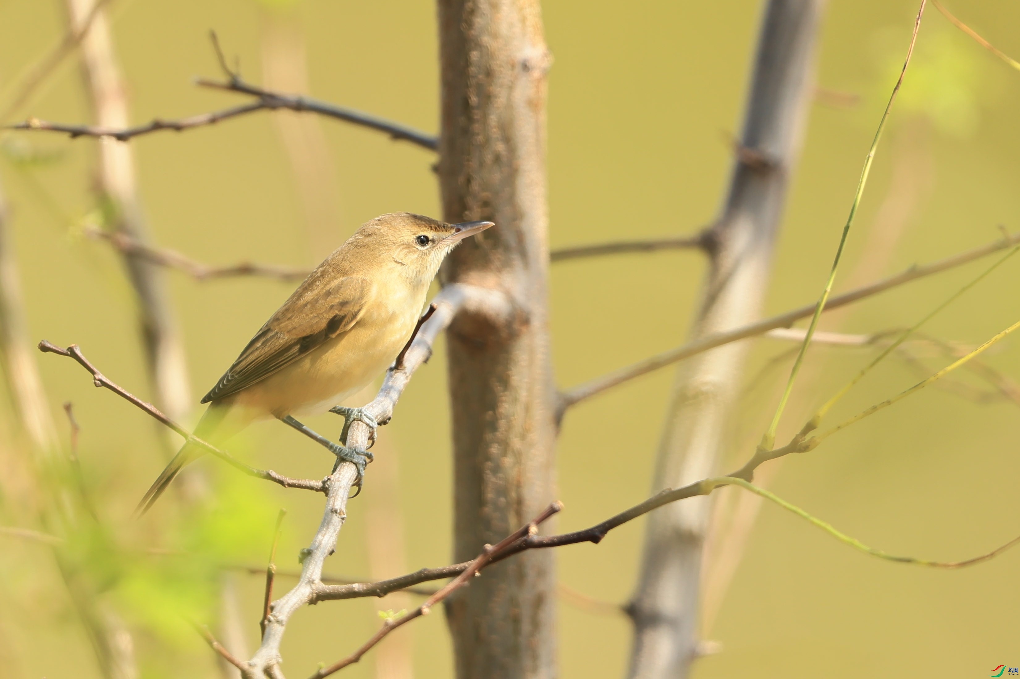 ������έݺ 2  098A3268.jpg