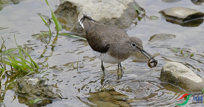 ���� (18).JPG