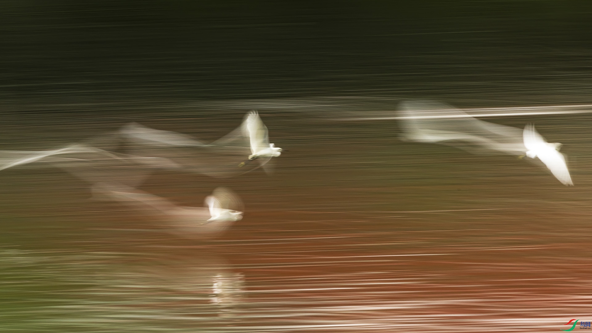 _Z0A6353.jpgt.jpg