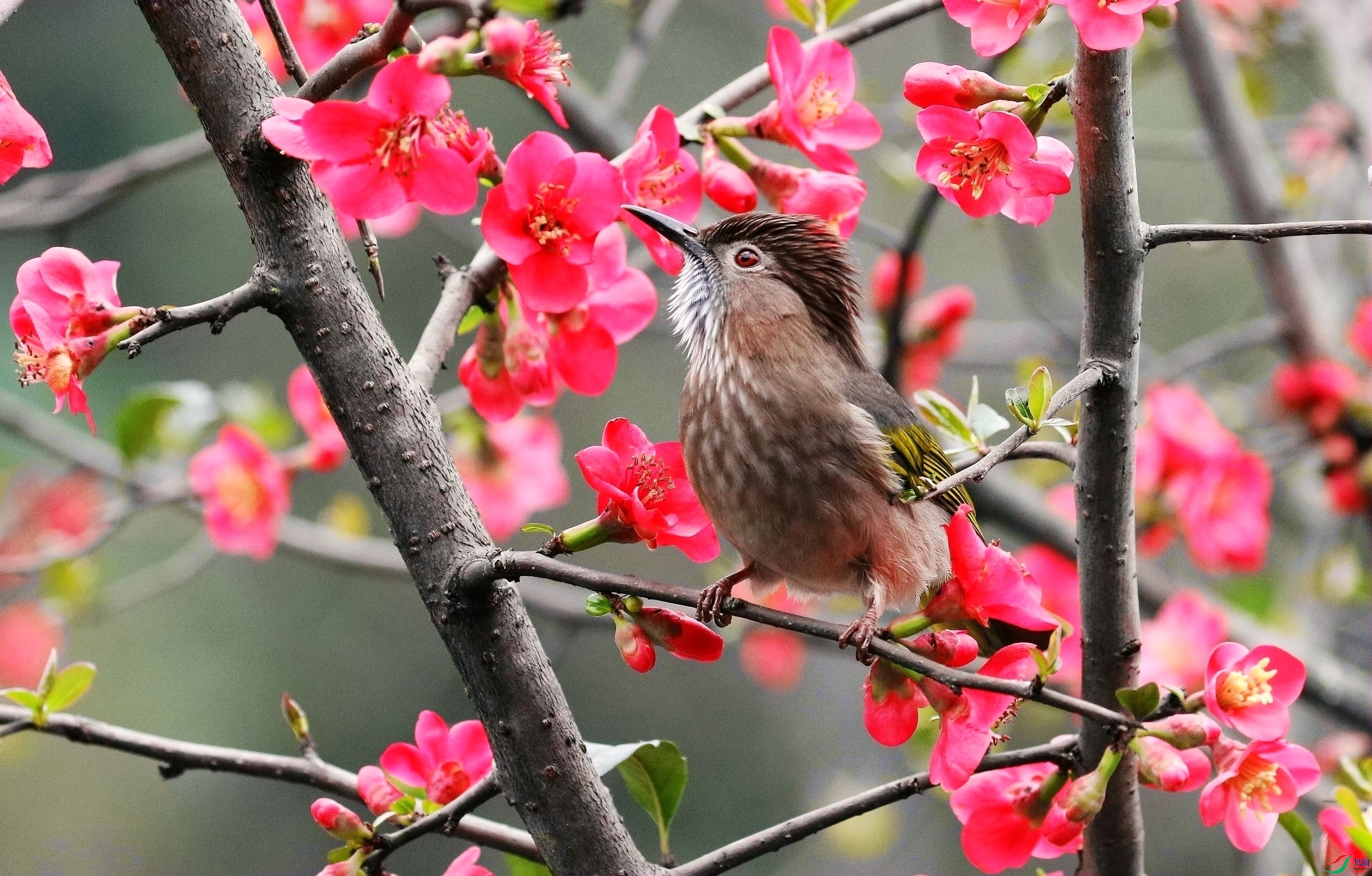 �컨��������1U4A5250_����.jpg