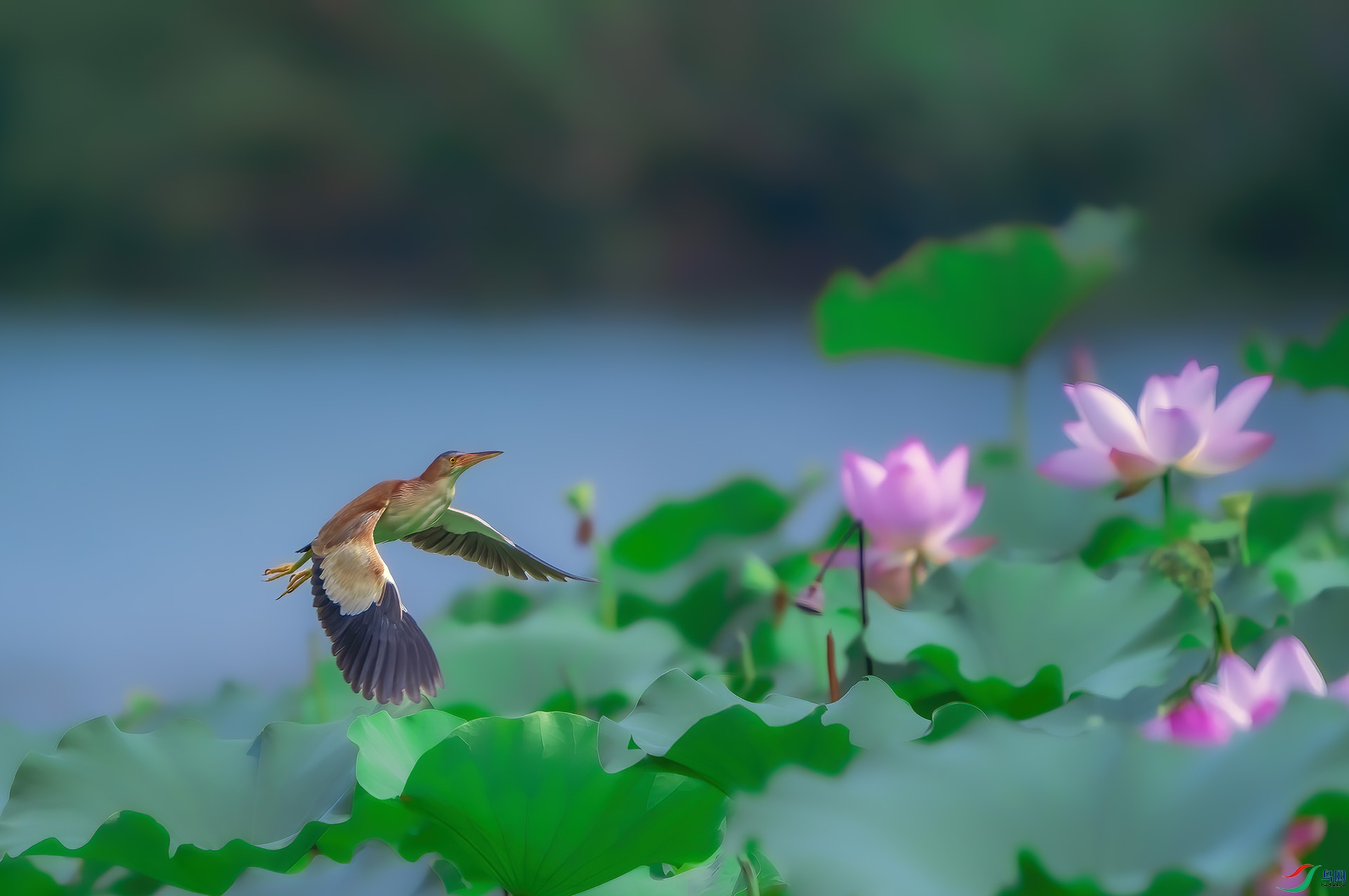 DSC07573 ���� 2.jpg