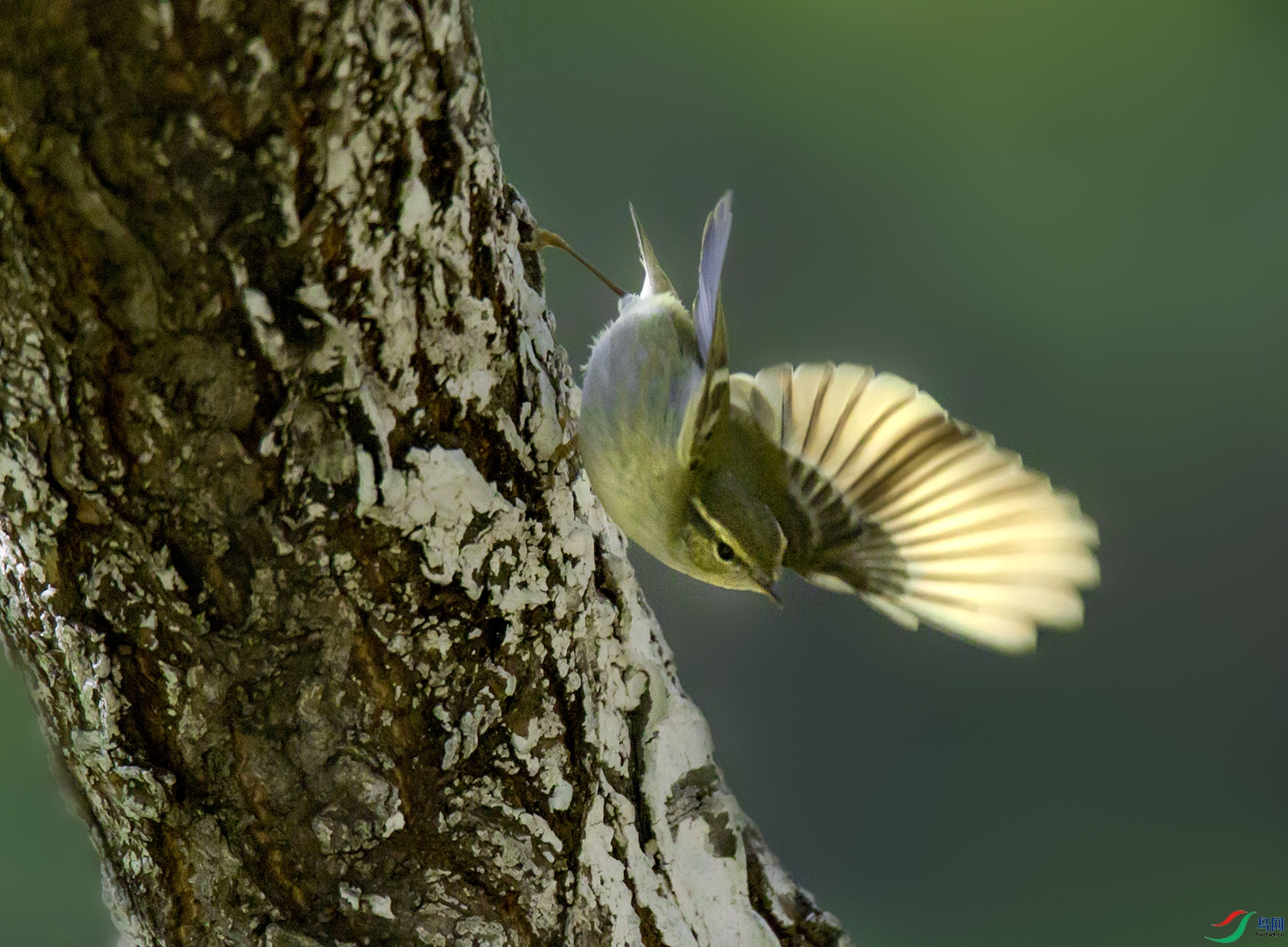2-374.jpg