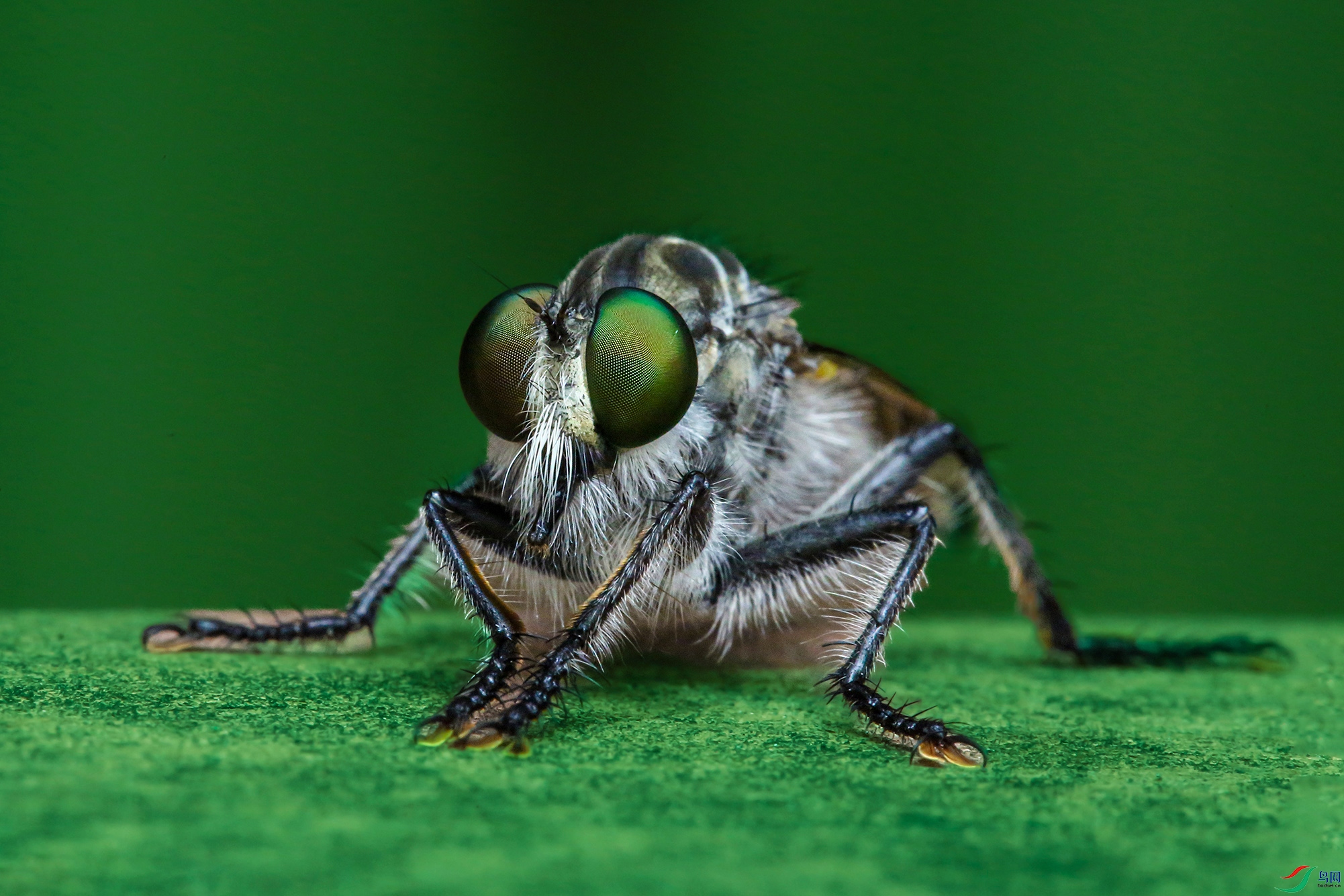 1C6A2740.jpg