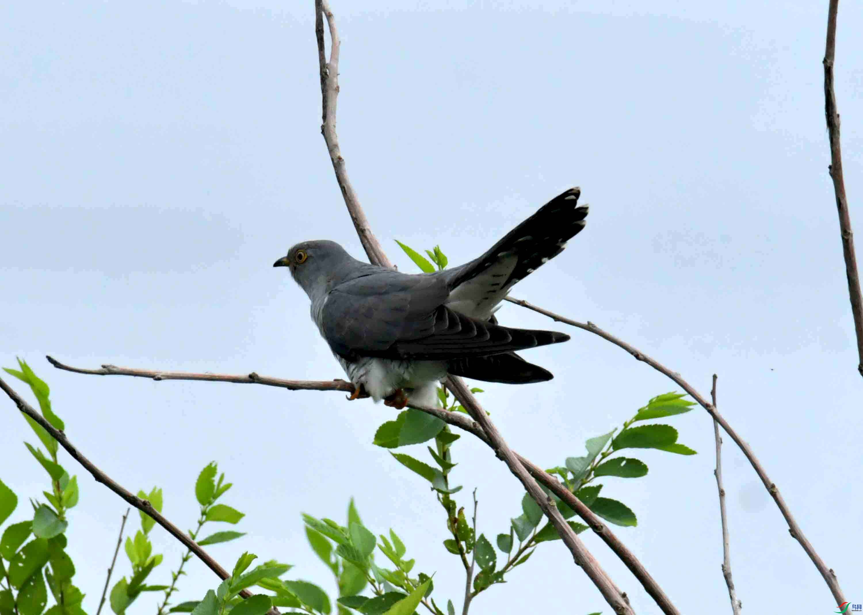 DSC_9399.JPG