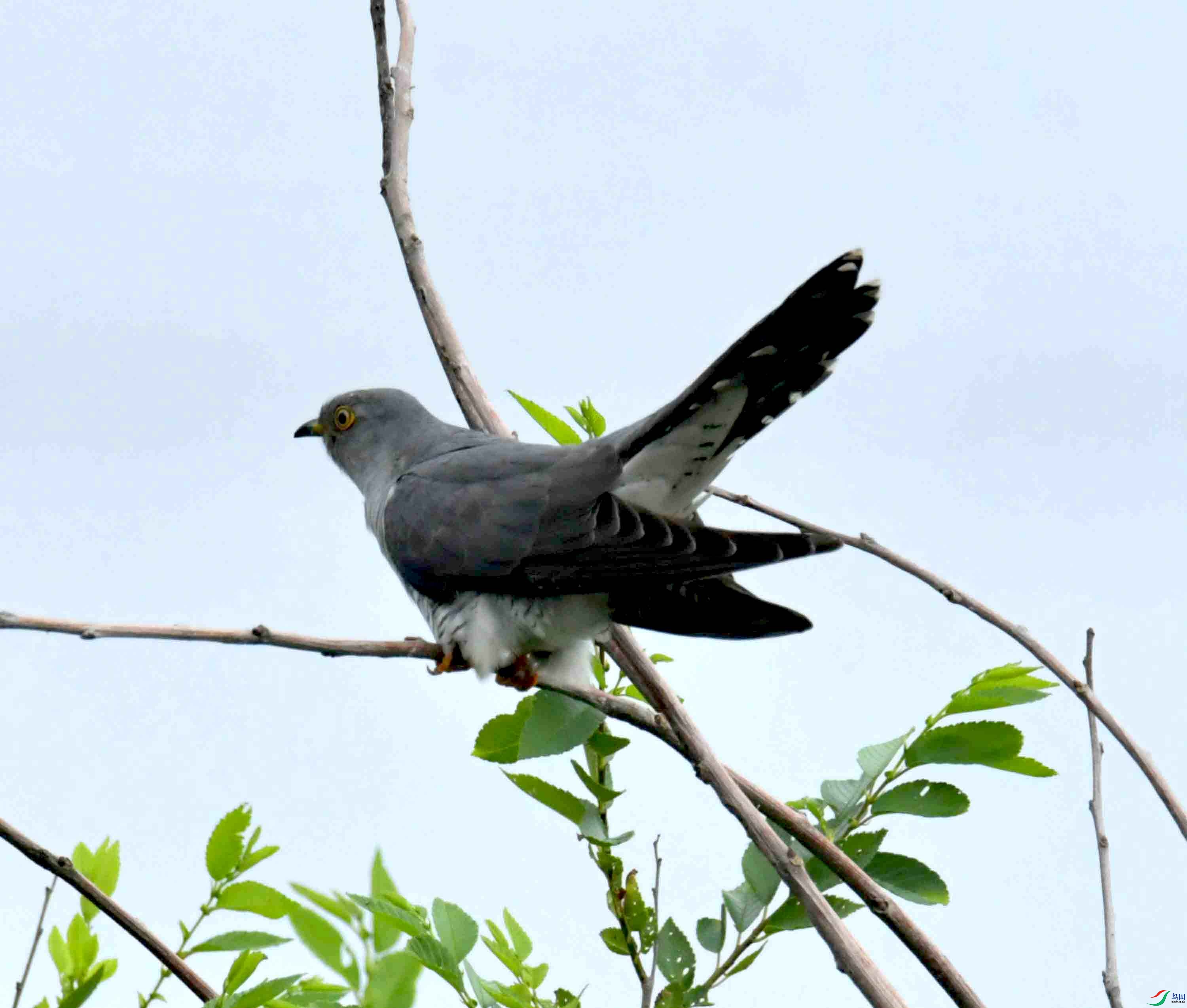 DSC_9398.JPG