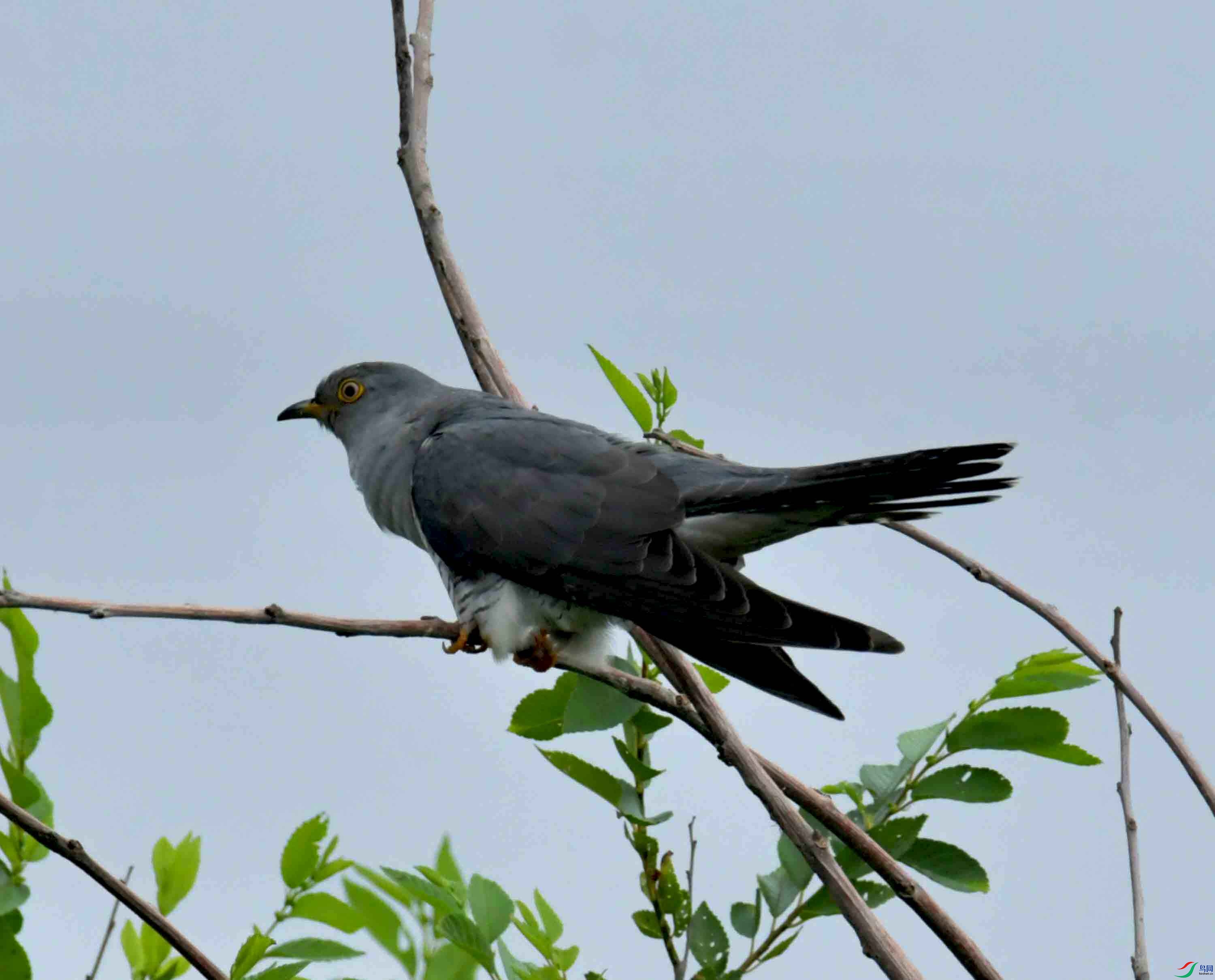 DSC_9402.JPG