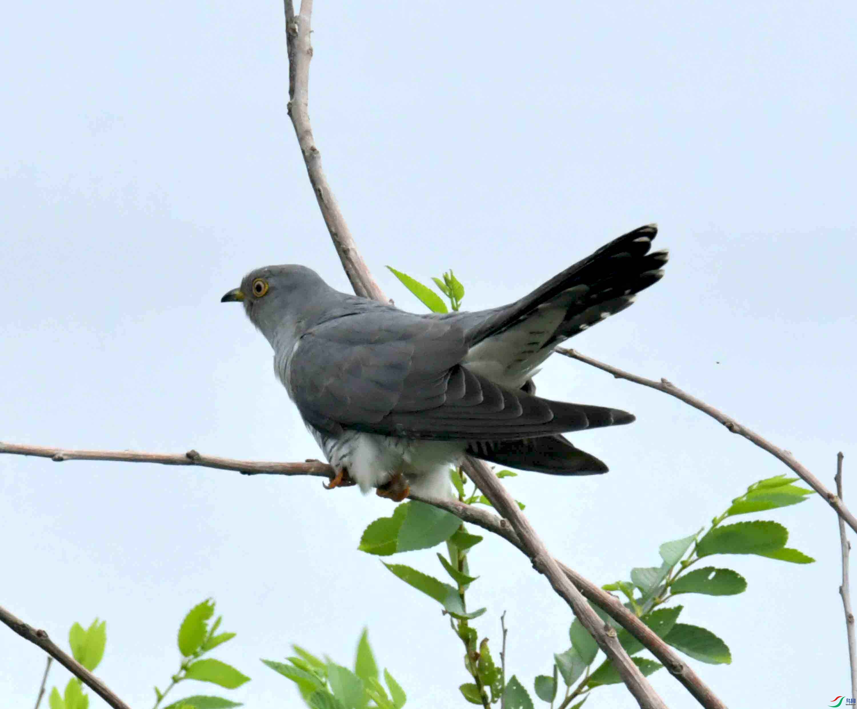 DSC_9401.JPG