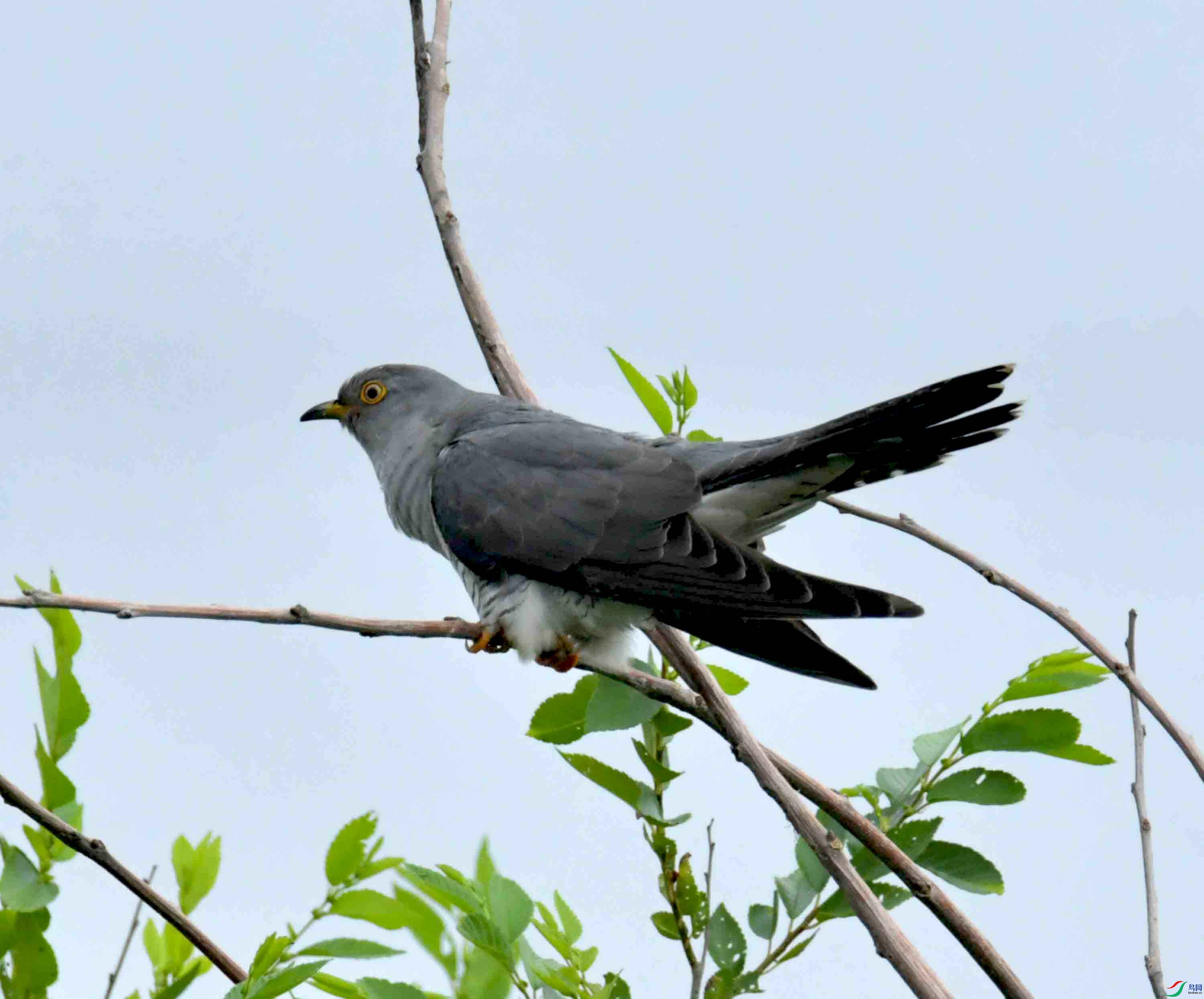 DSC_9403.JPG
