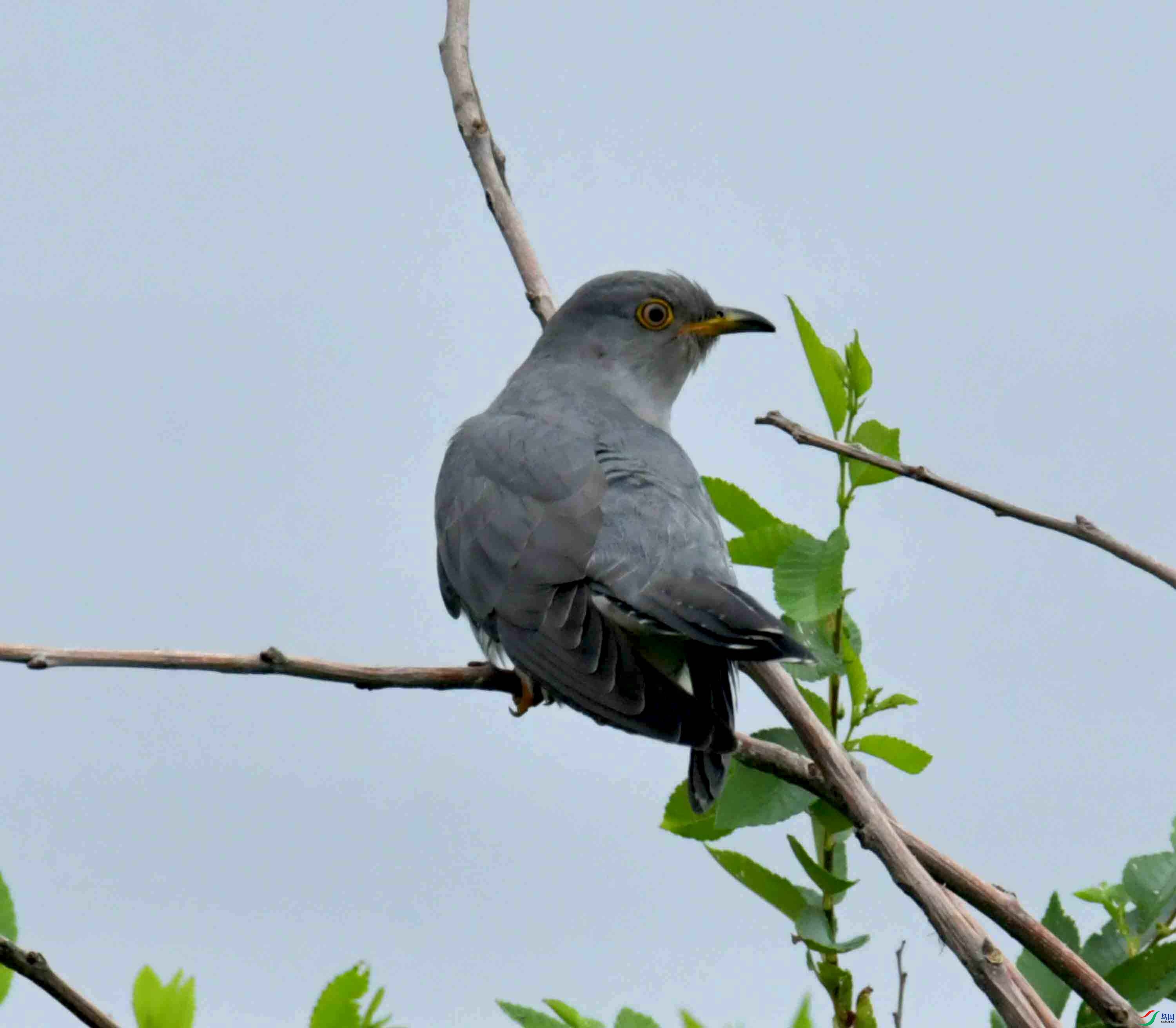 DSC_9422.JPG