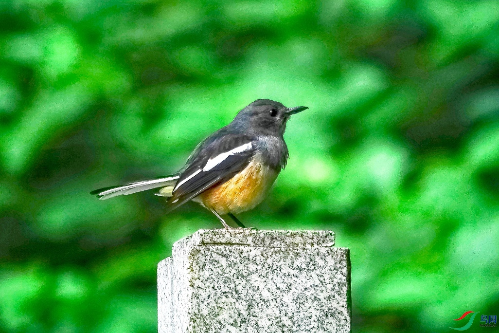DSC07077.jpg