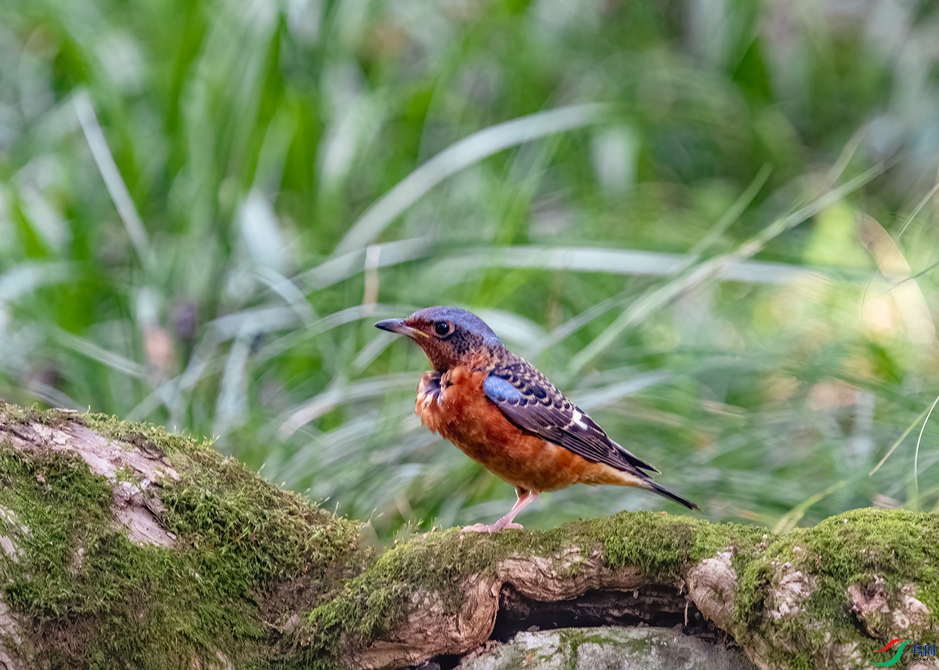 DSC_4607-2.jpg