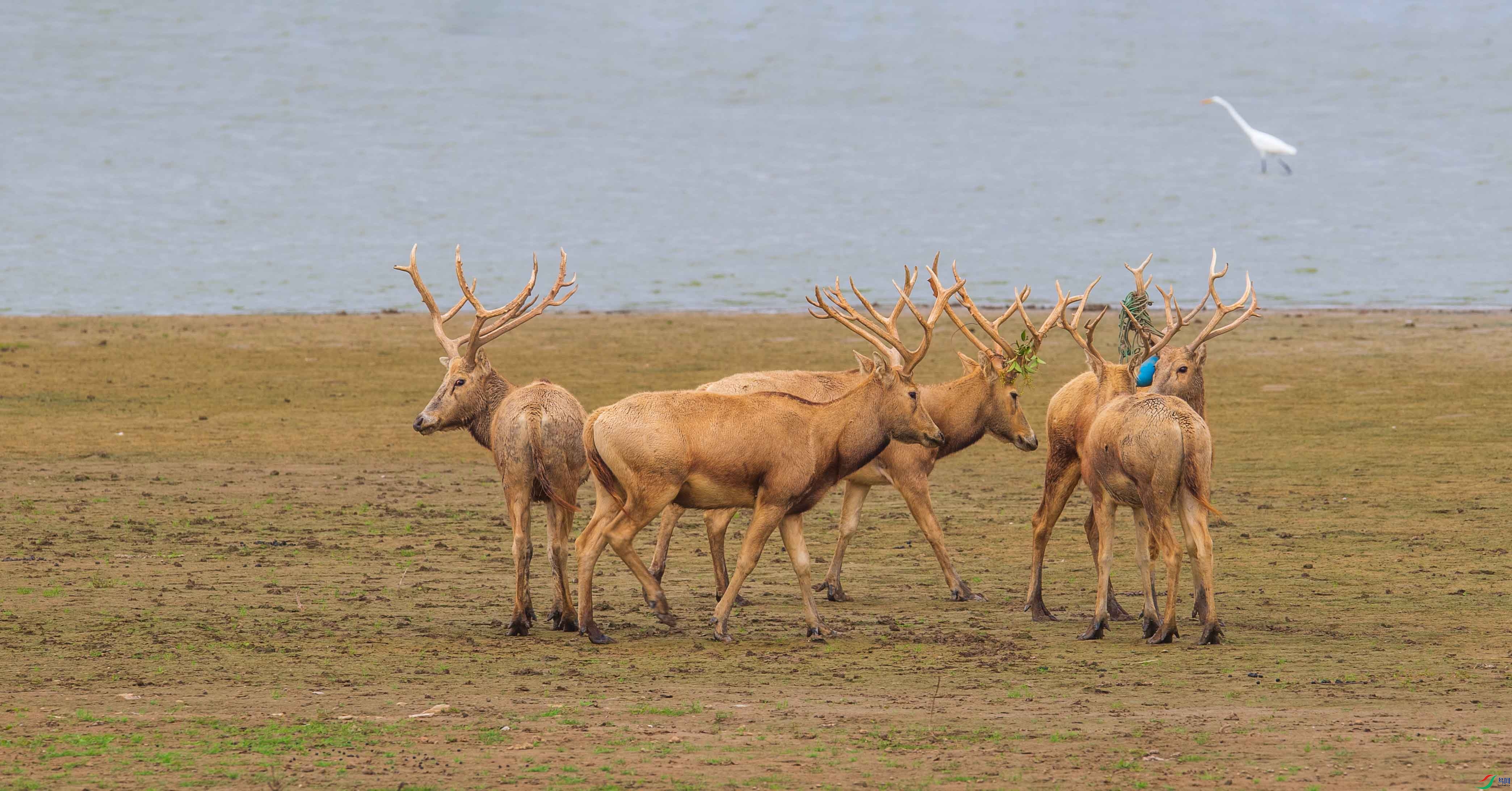 WGB_3367-1.jpg