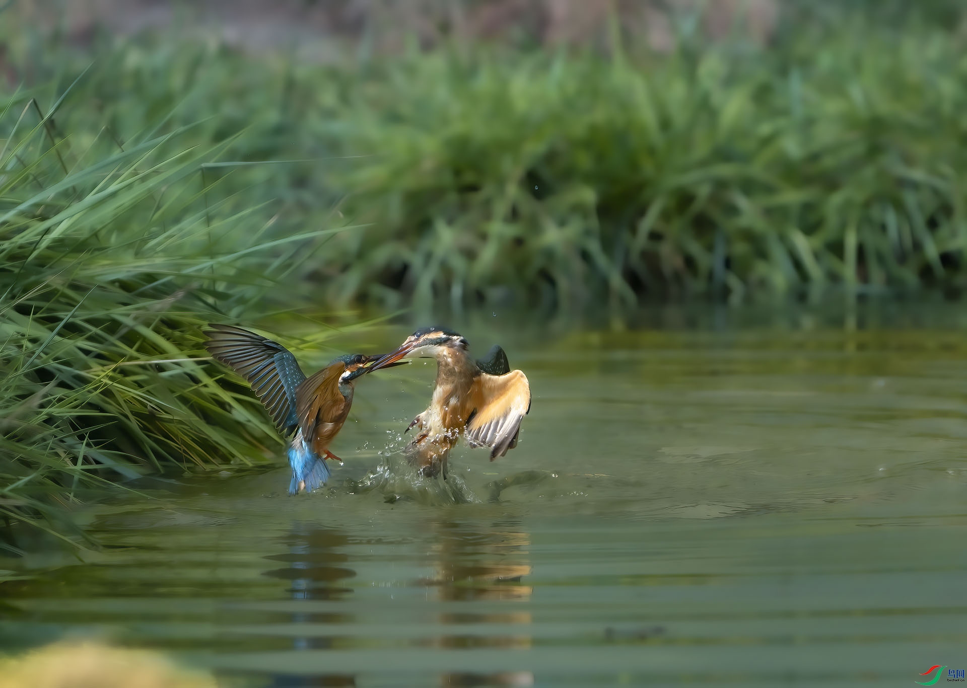 DSC02840 ���� 2.jpg