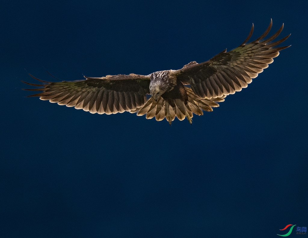 DSC_2114.jpg