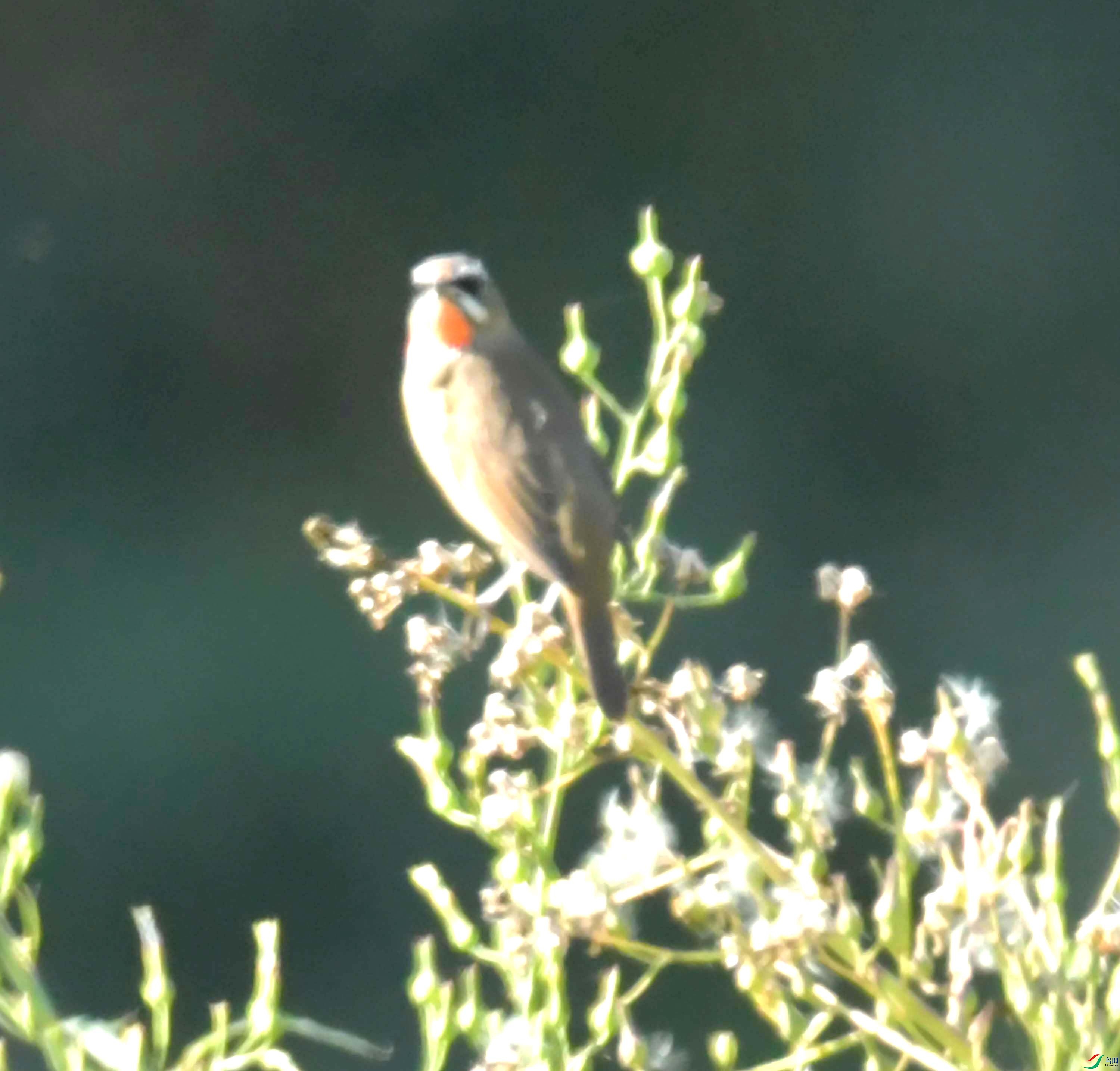 DSC_8941.JPG