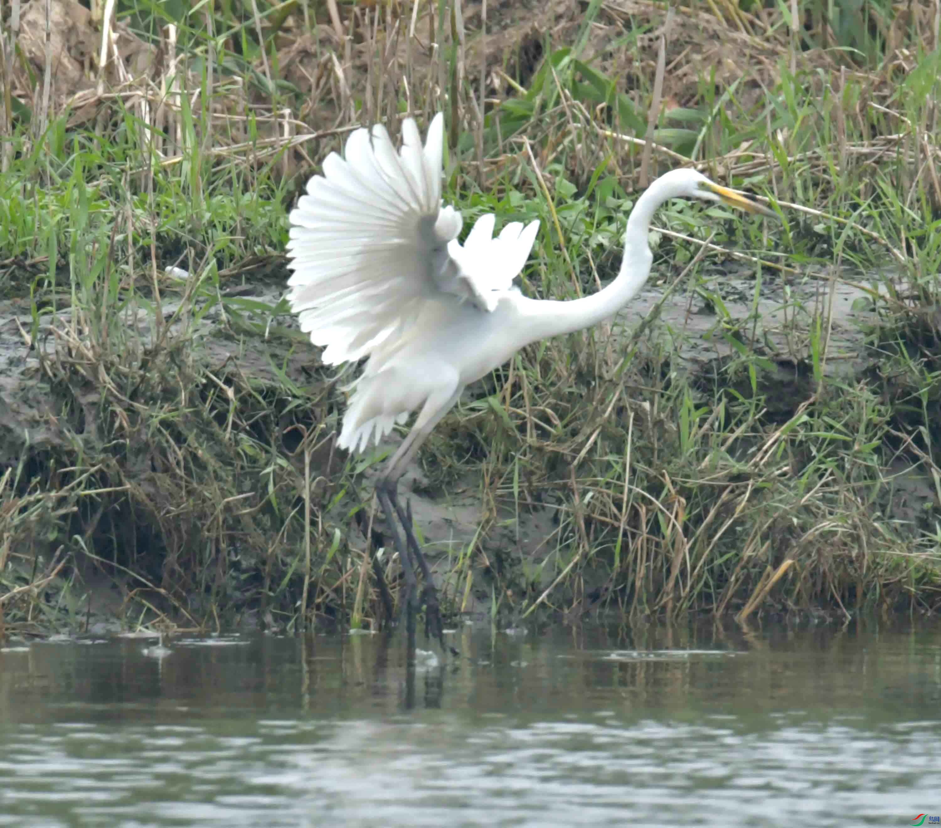 DSC_0262.JPG