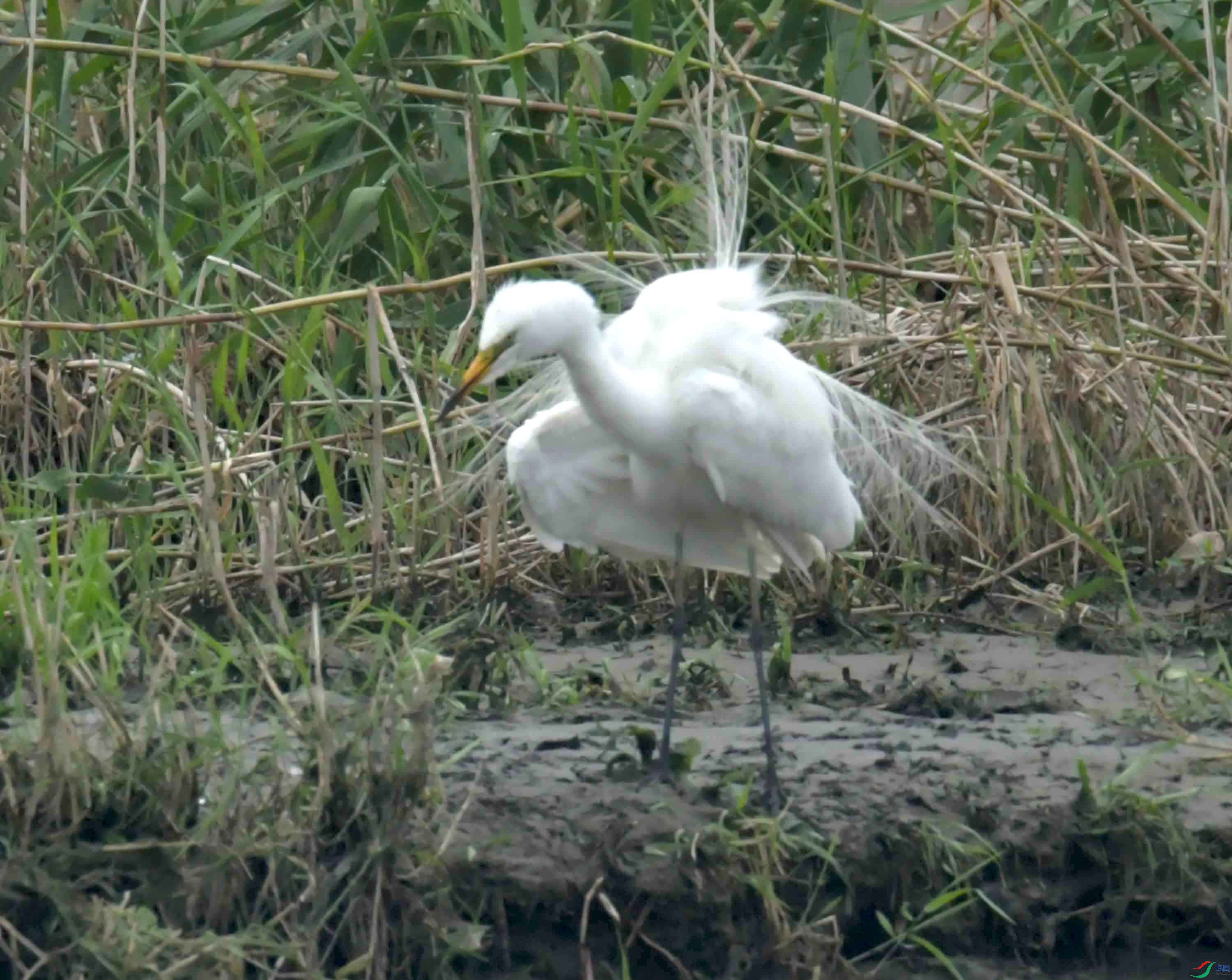 DSC_0267.JPG
