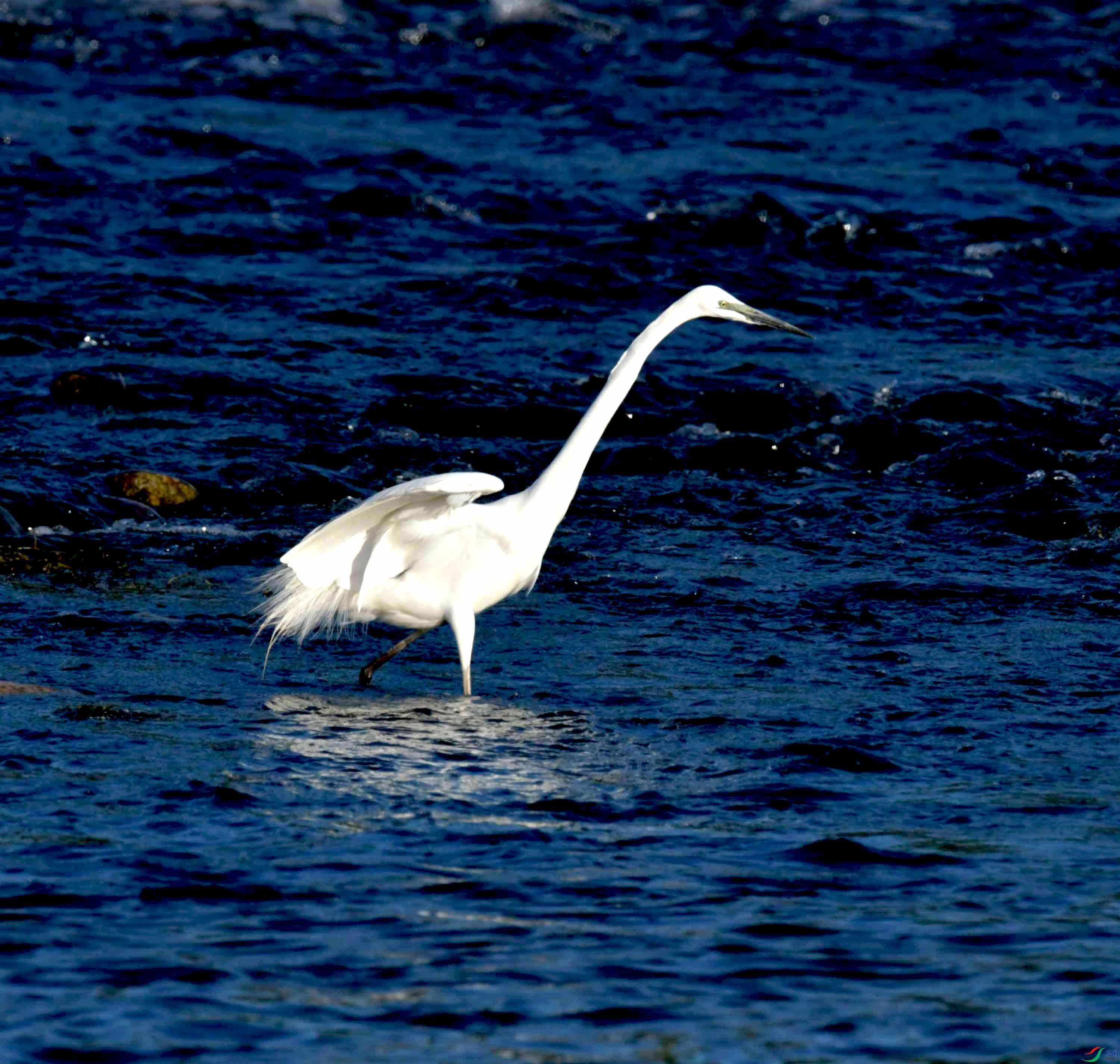 DSC_9679.JPG