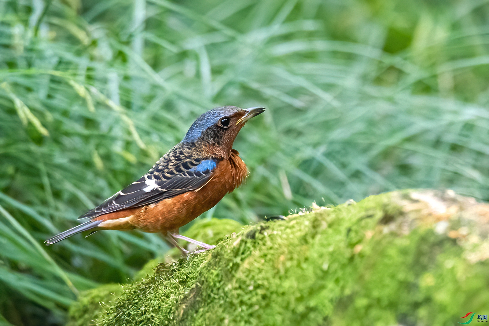 DSC_8822.jpg