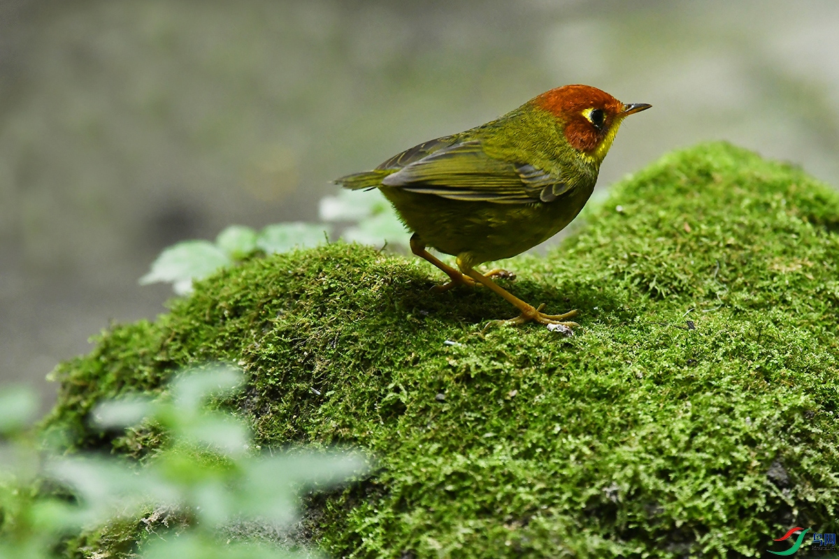 DSC_0797.JPG