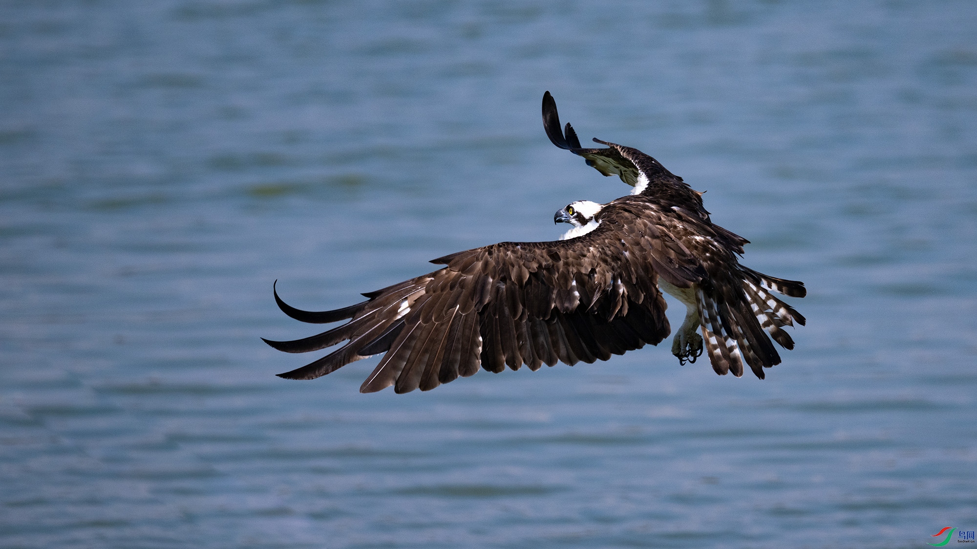 _DSC1045.jpg=.jpg