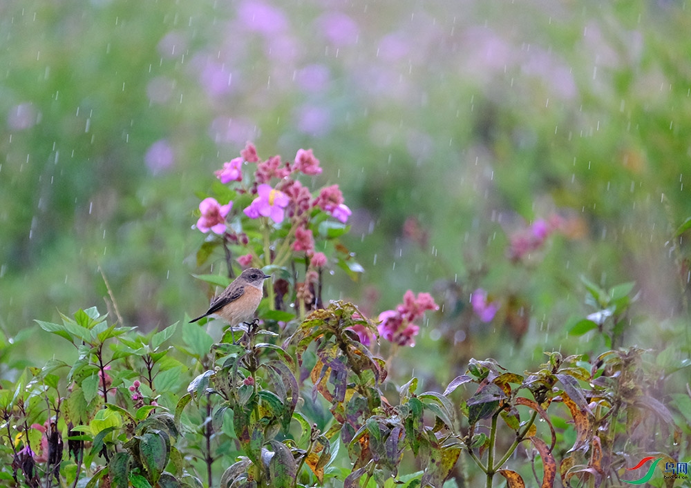DSCF3411.1.jpg
