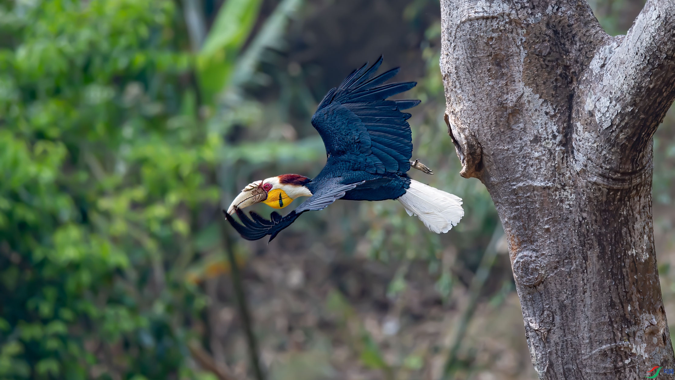 DSC_6913.jpg