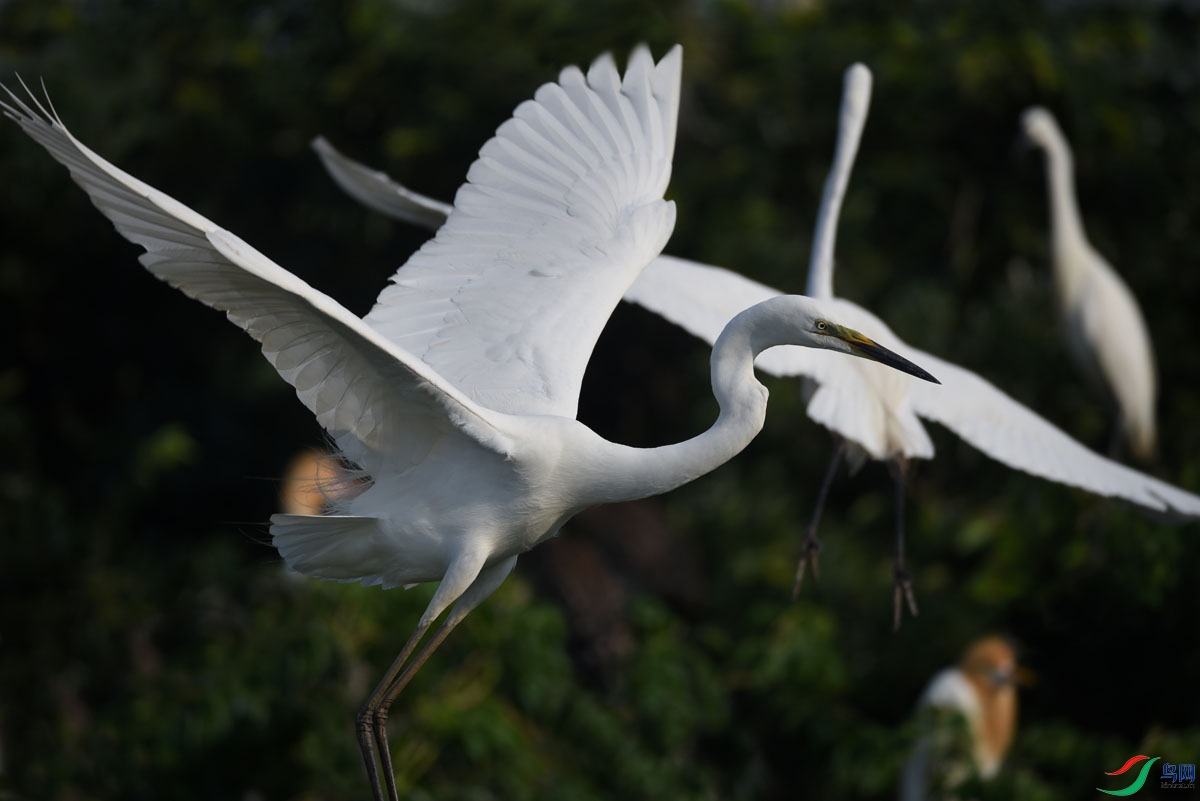 DSC_1110.JPG