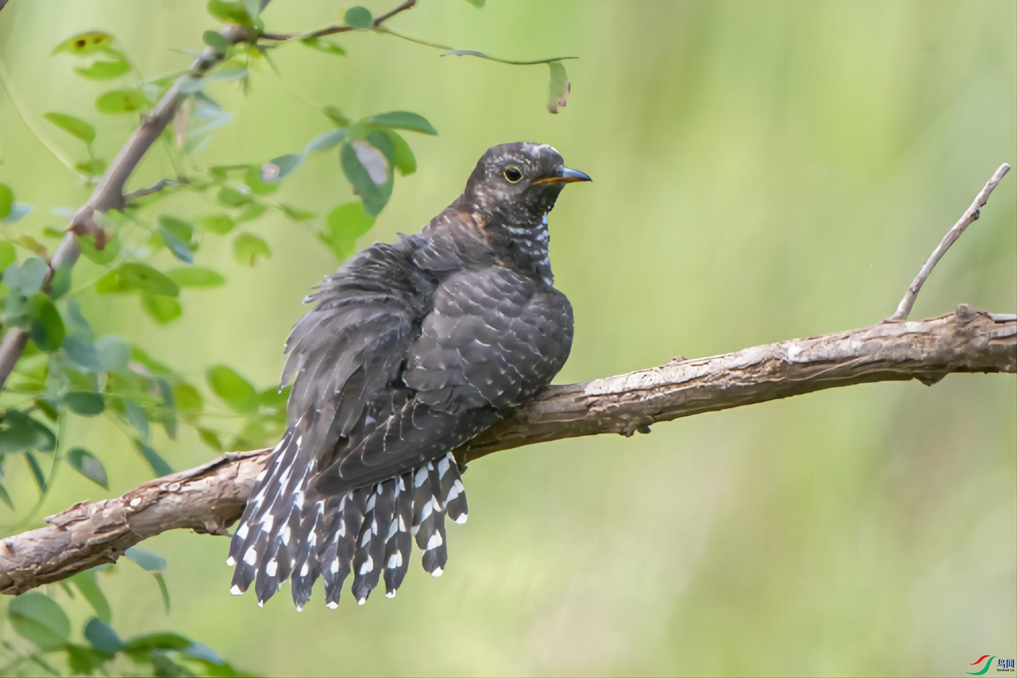 С�ž� (3)(1).jpg