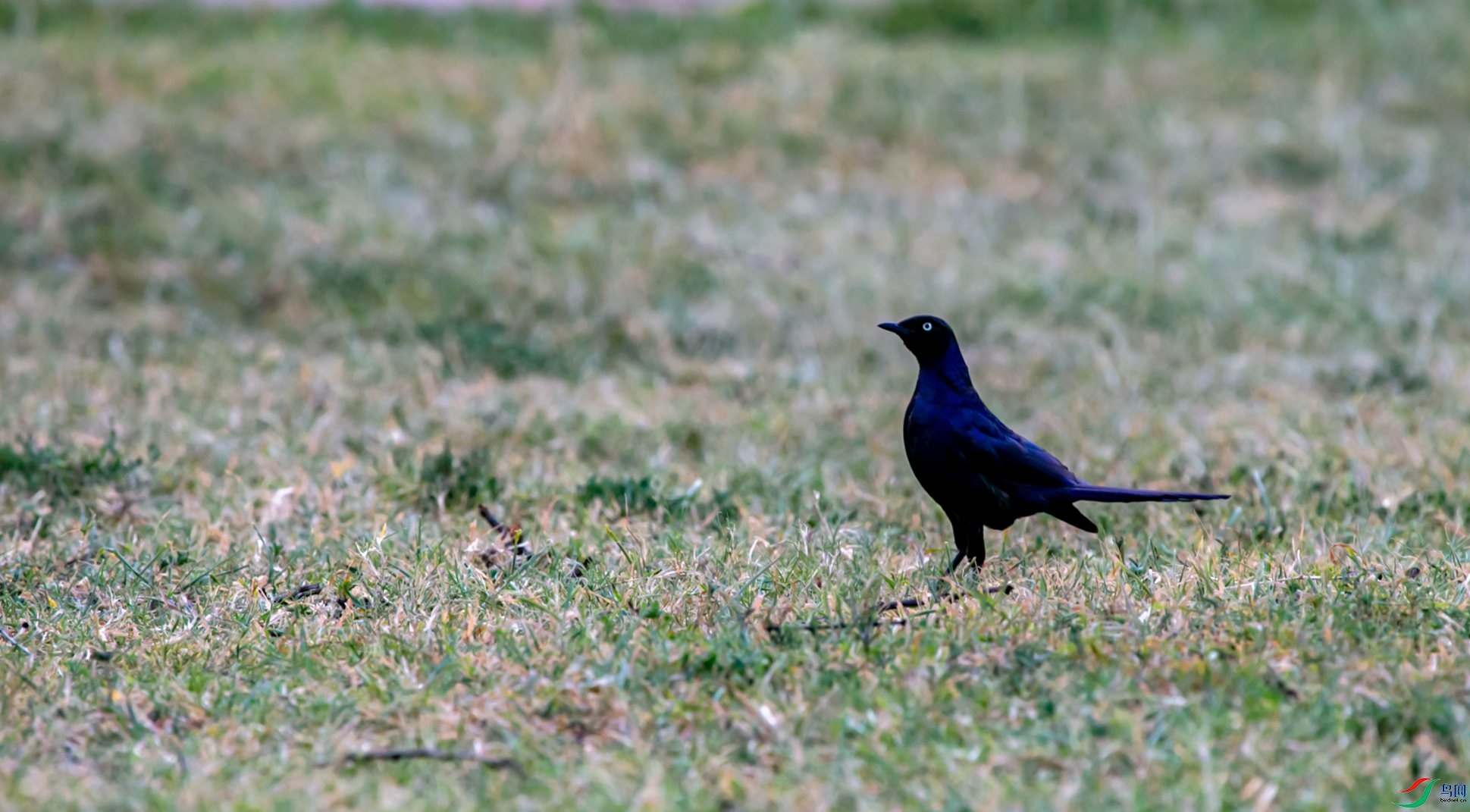 ¬�������