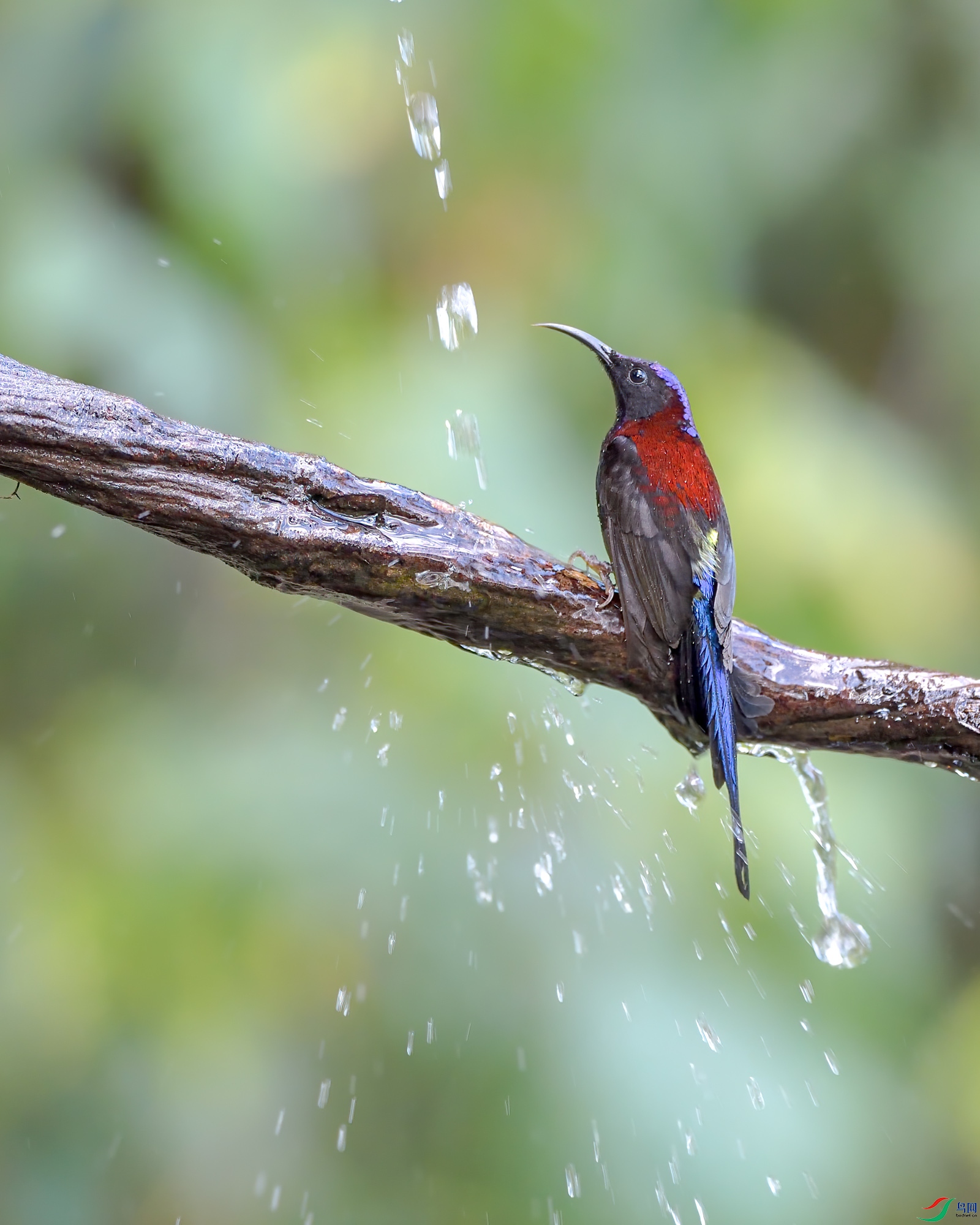 DSC_4977_1.jpg