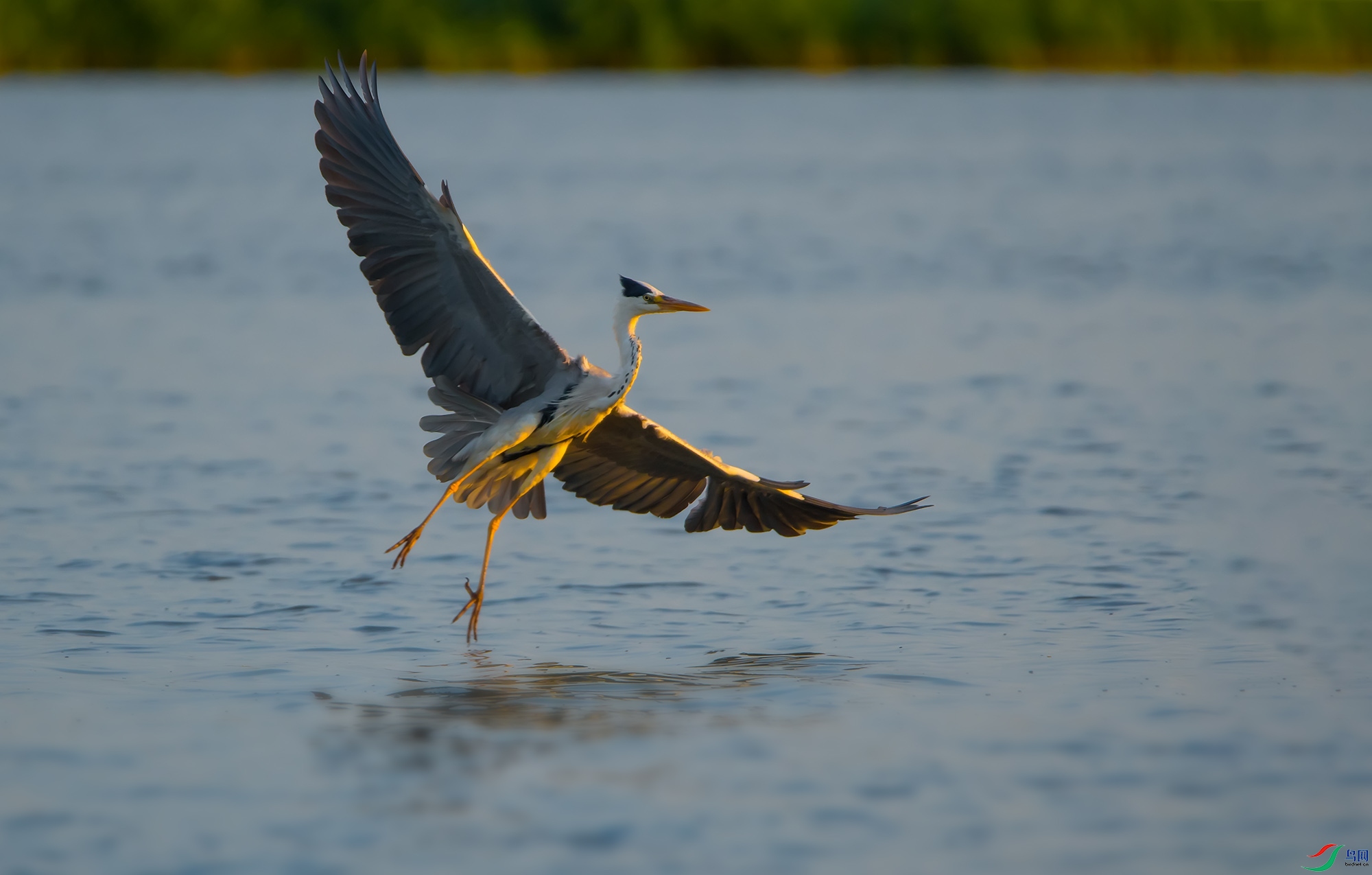 DSC_6687.jpg