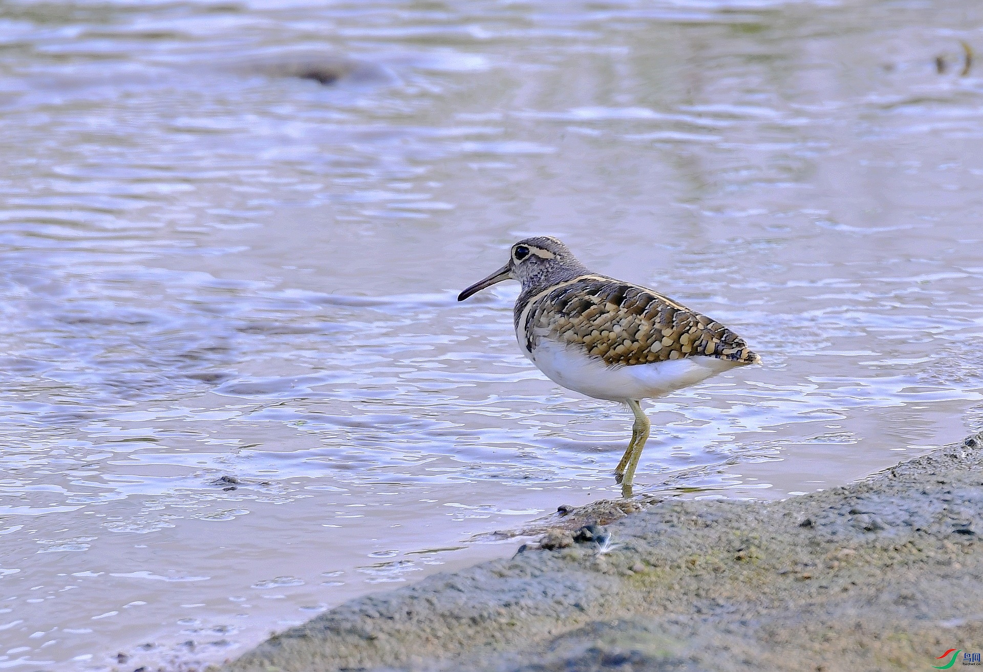 _D5D2578.jpg