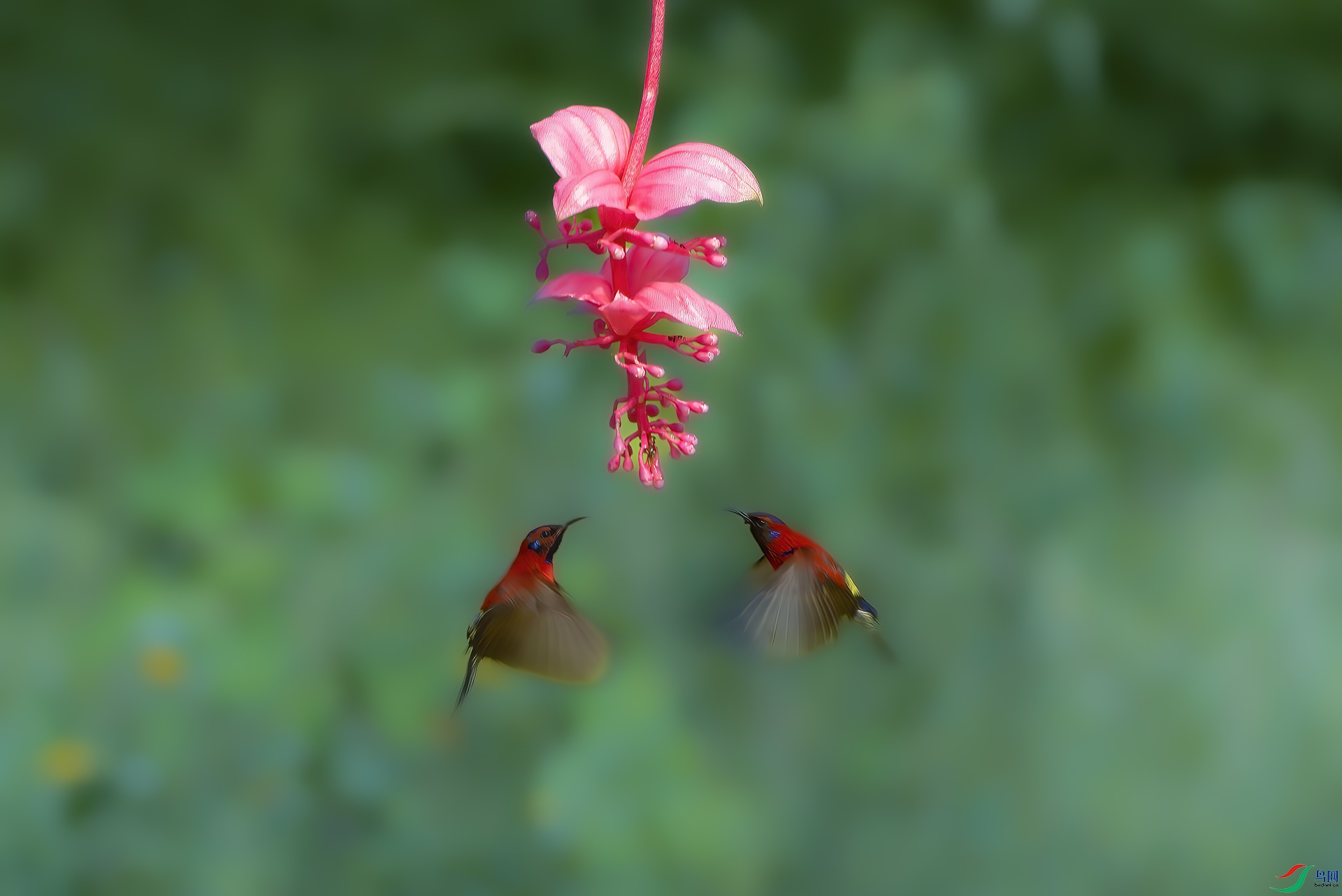 DSC07349 ���� 2.jpg