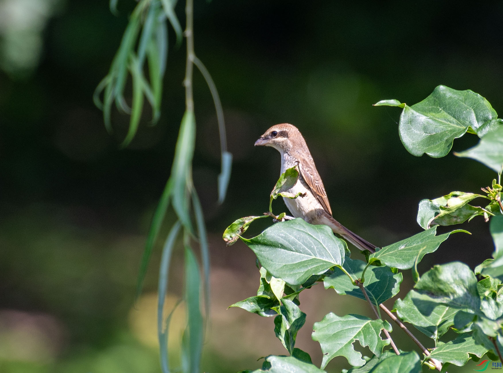 DSC_2891.jpg