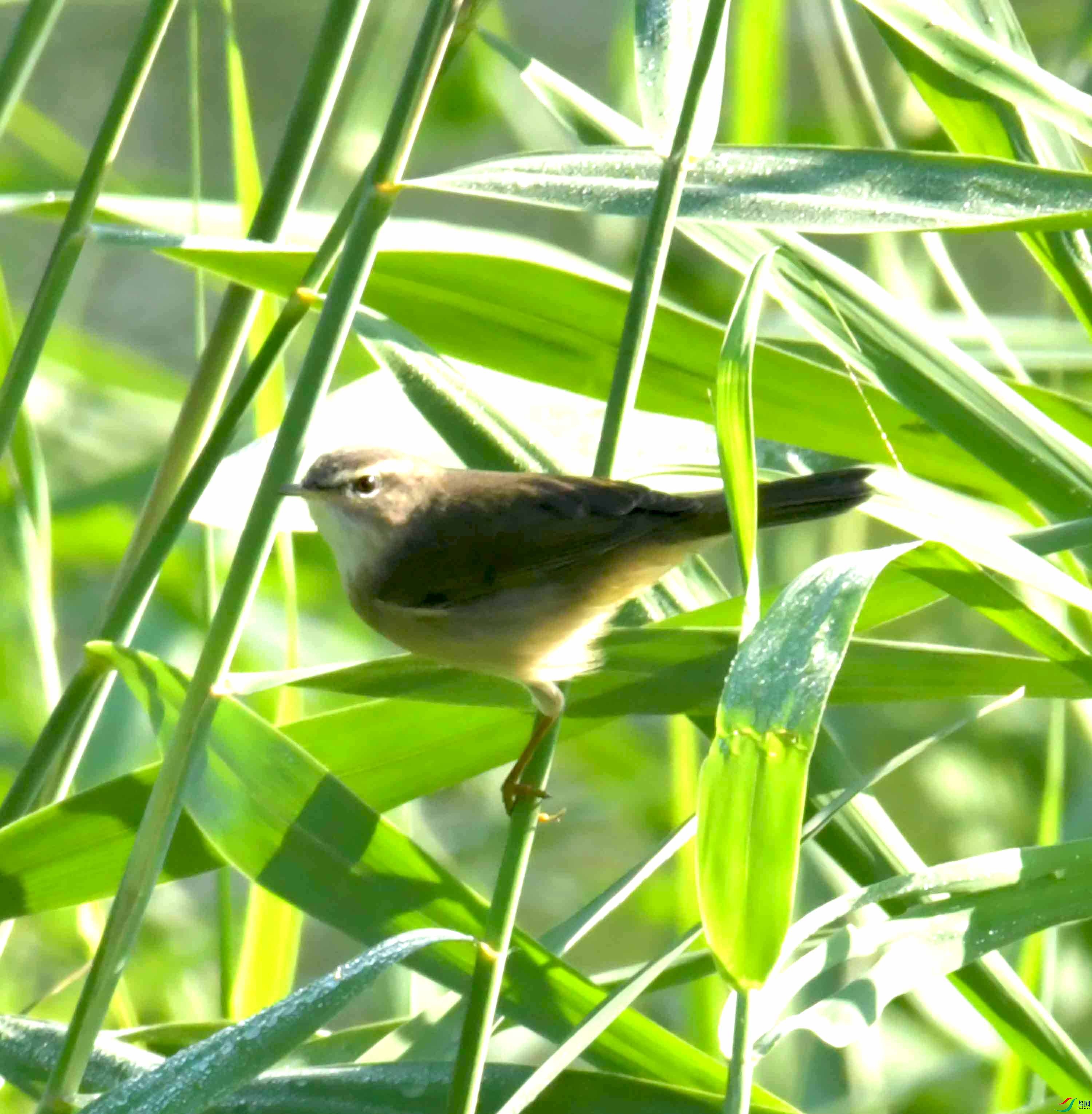 DSC_5752.JPG