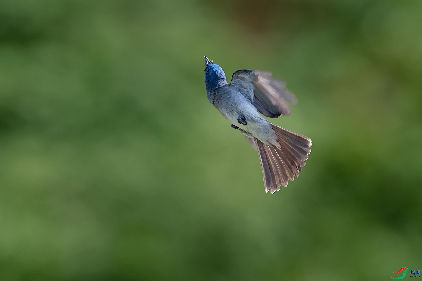 DSC_6734_DxOa.jpg