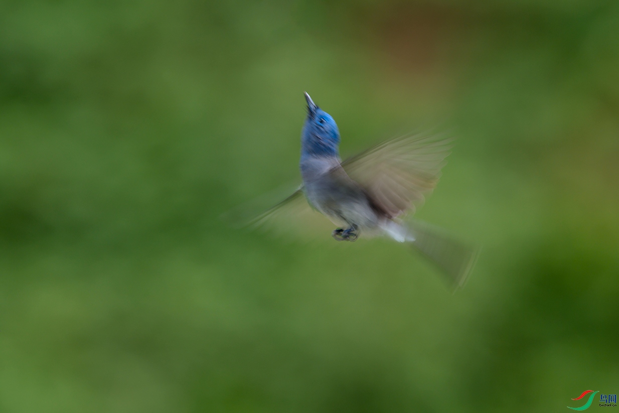DSC_6849_DxOa.jpg